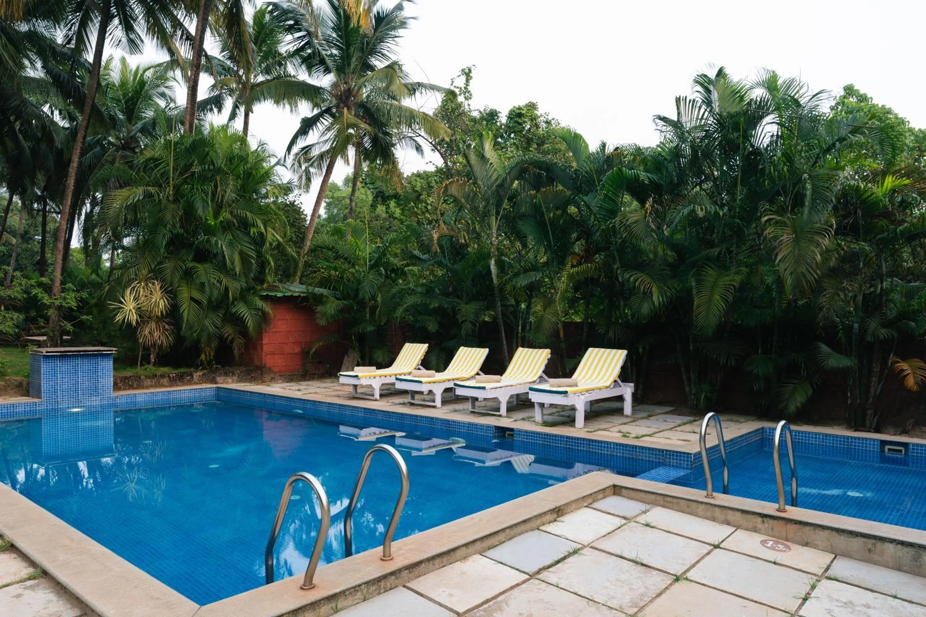 Swimming pool in Morjim Hermitage