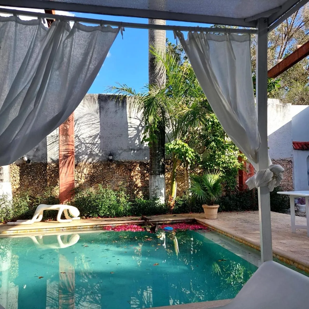 Garden view in Villa Octavia