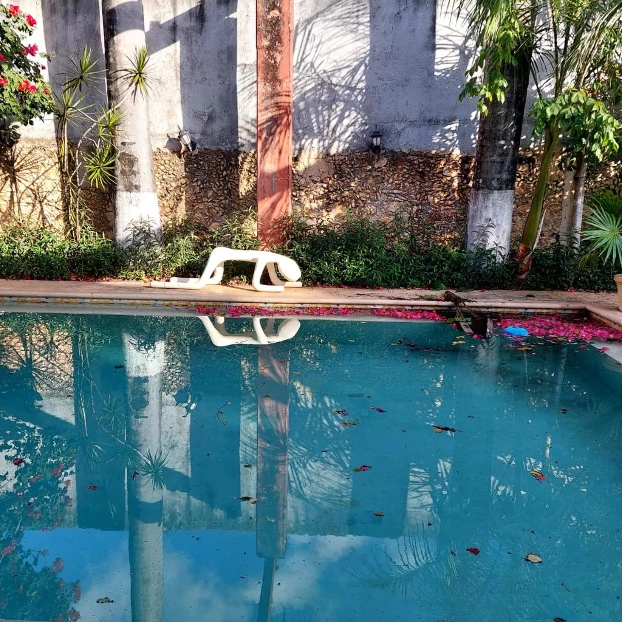 Day in Villa Octavia