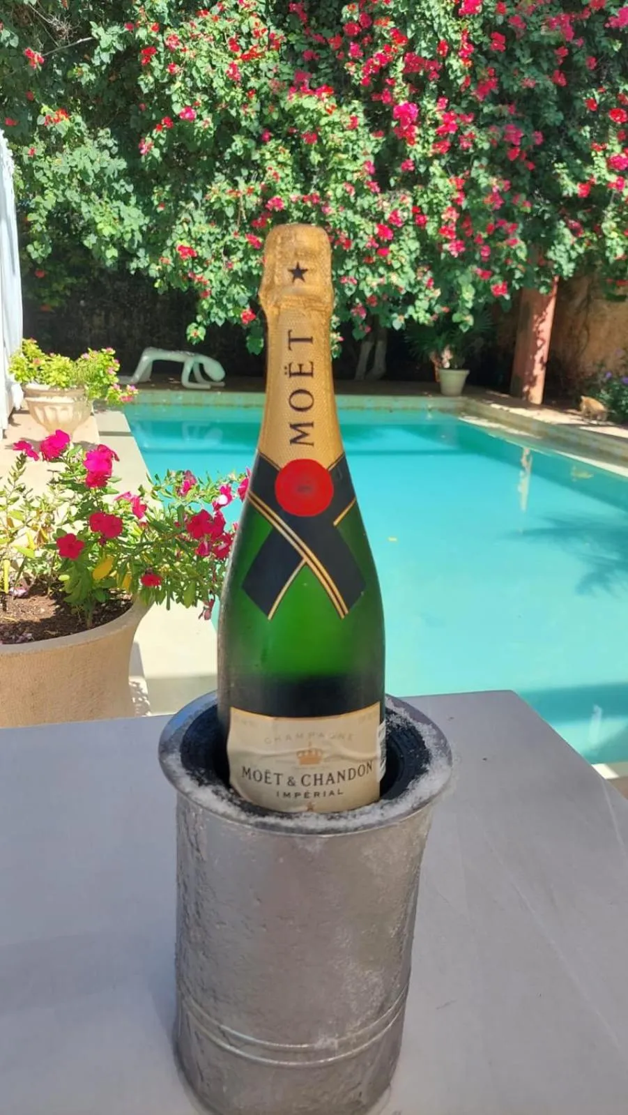 Swimming pool in Villa Octavia