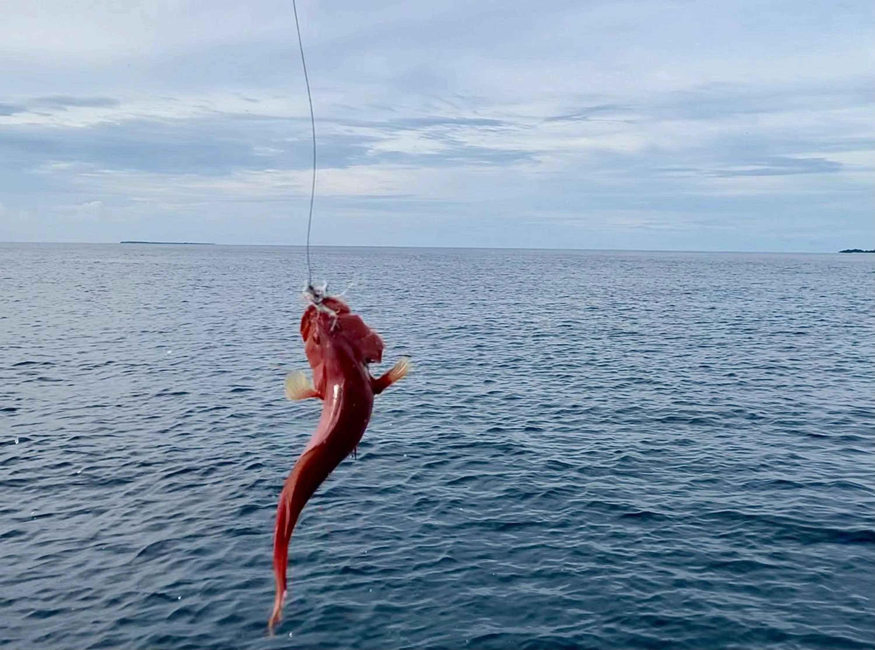 Fishing in Viluveli Holiday Retreat