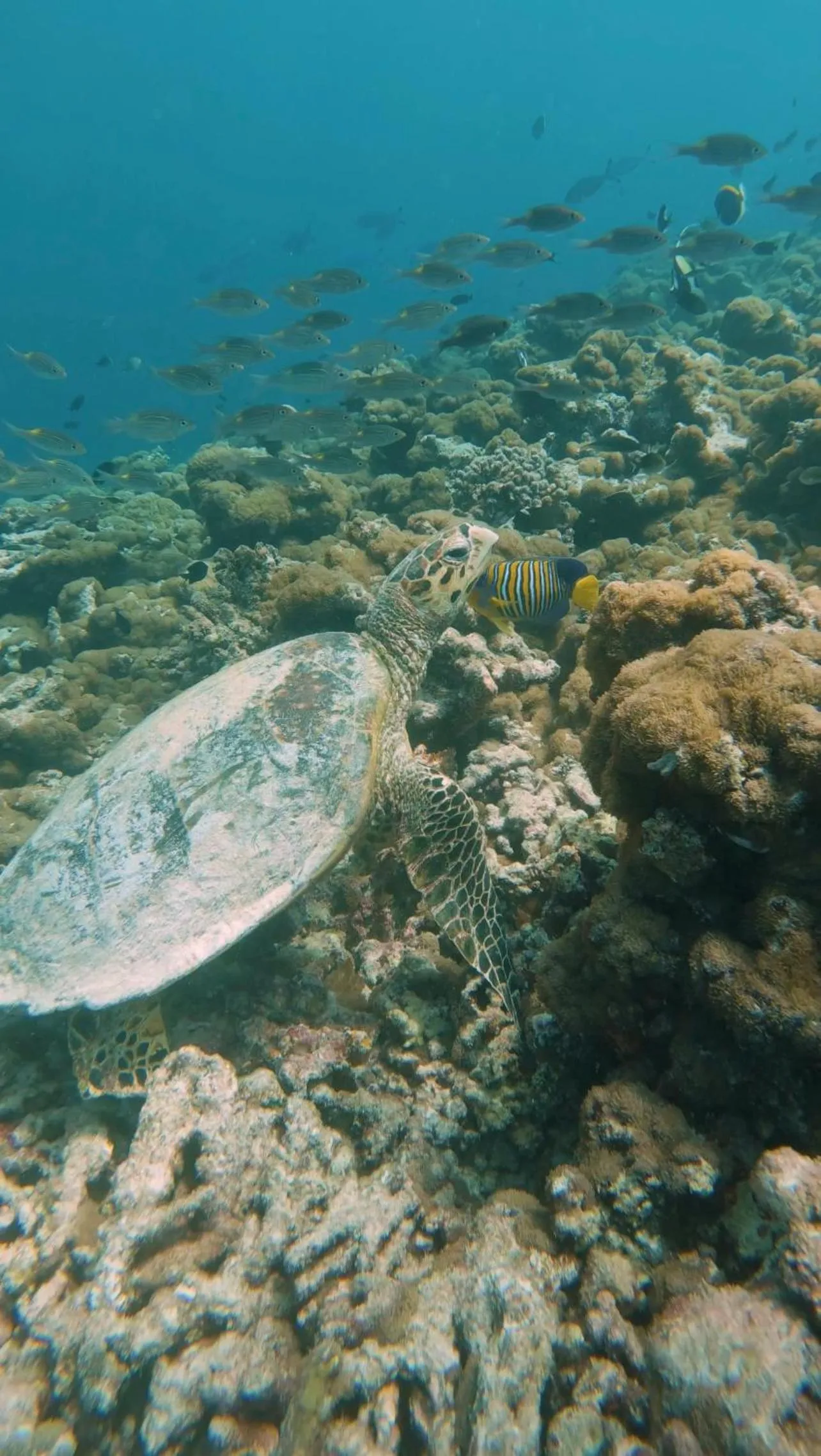 Natural landscape in Viluveli Holiday Retreat