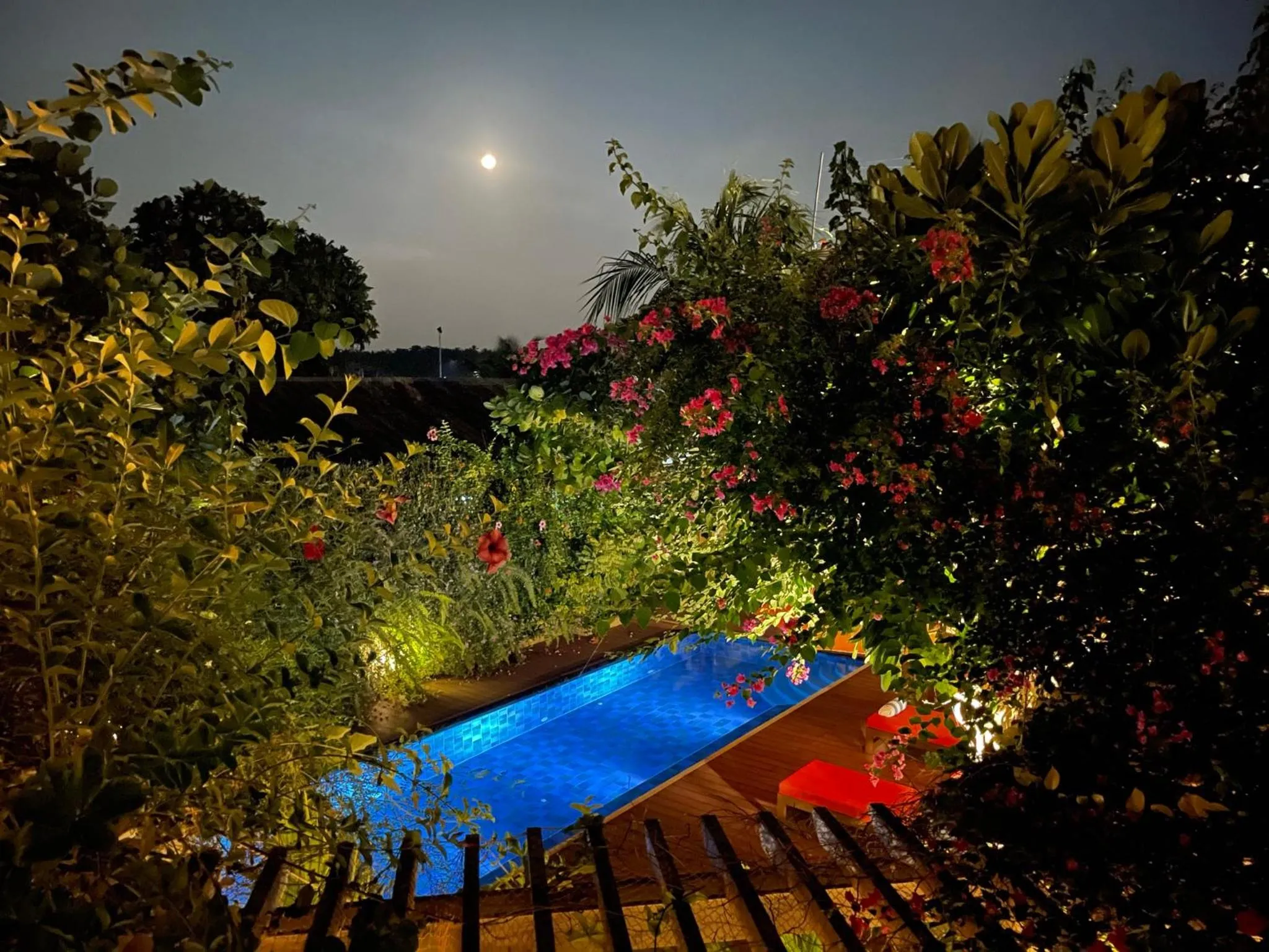 Swimming pool in Viluveli Holiday Retreat