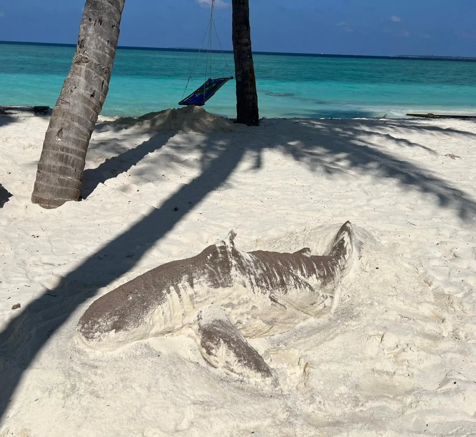 Beach in Viluveli Holiday Retreat
