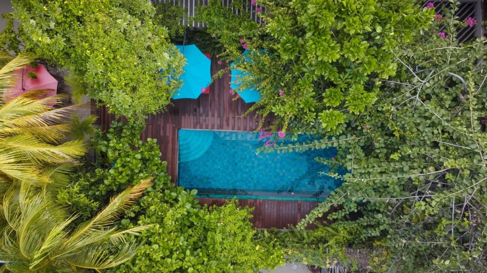 Swimming pool in Viluveli Holiday Retreat