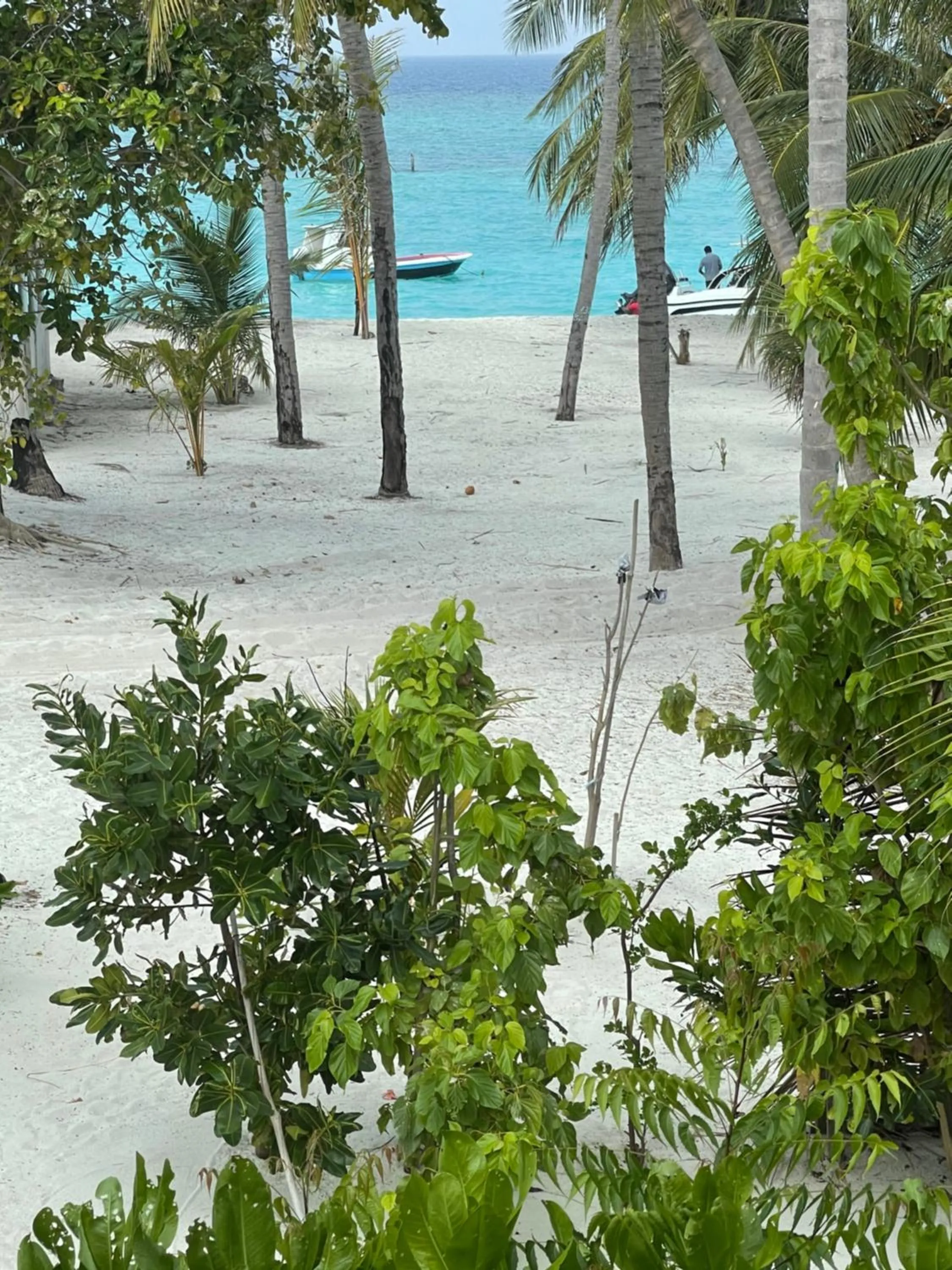 Sea view in Viluveli Holiday Retreat