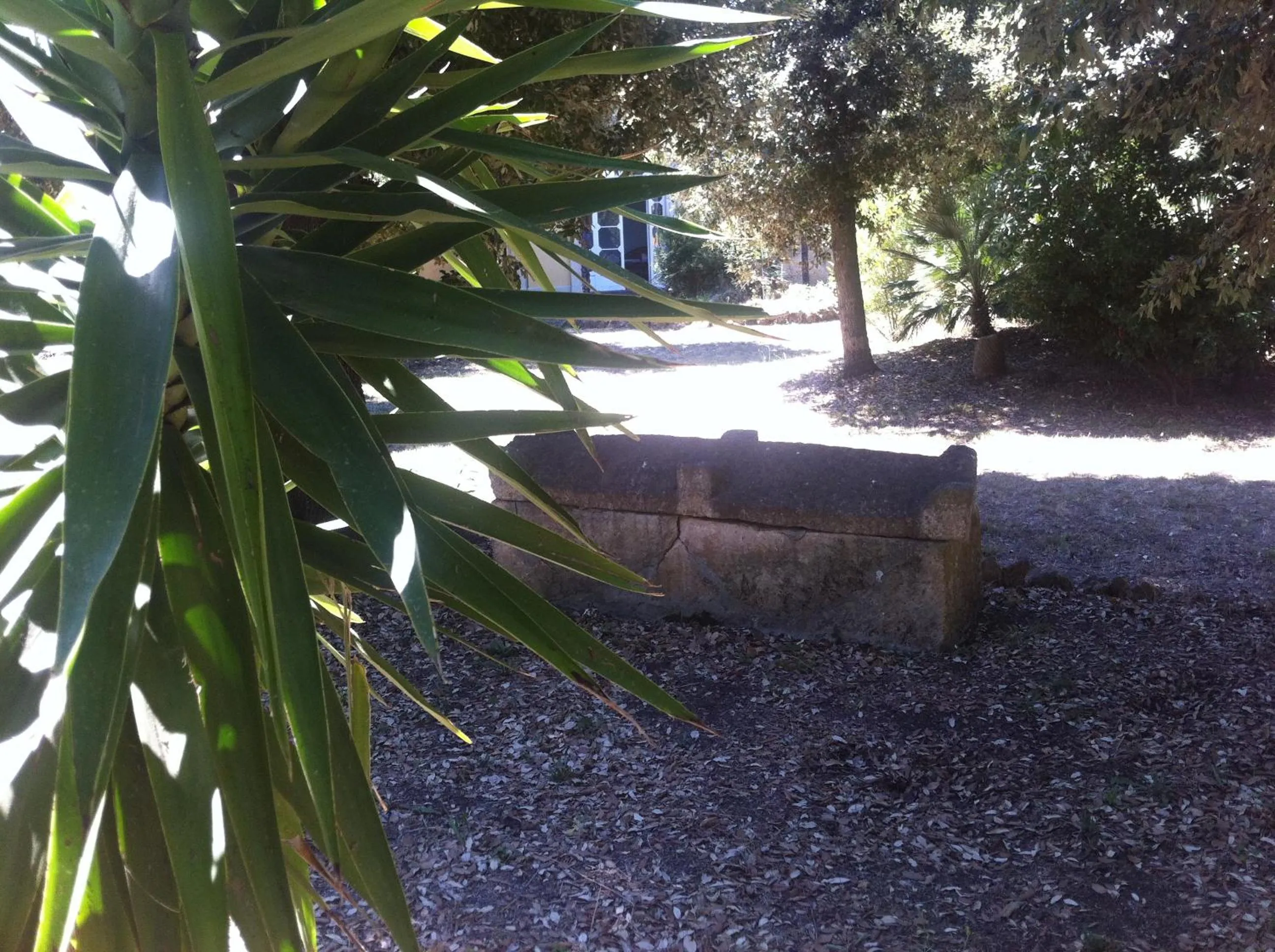 Garden in Villa Graziani