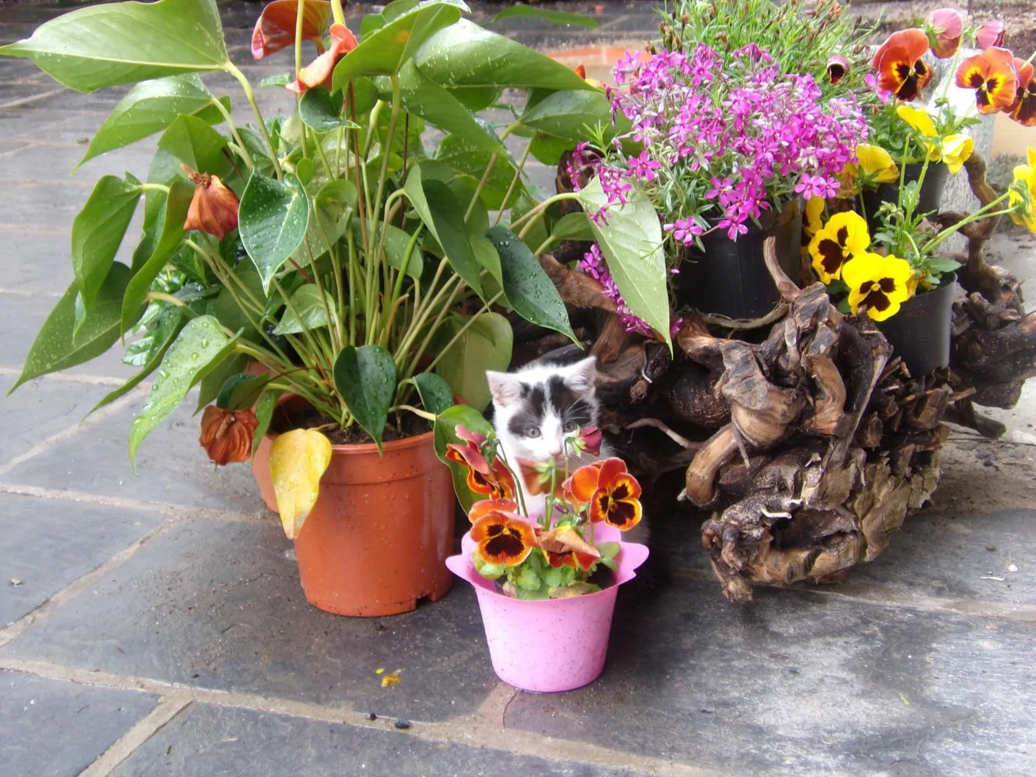Decorative detail in B&B Rocca di Bajedo