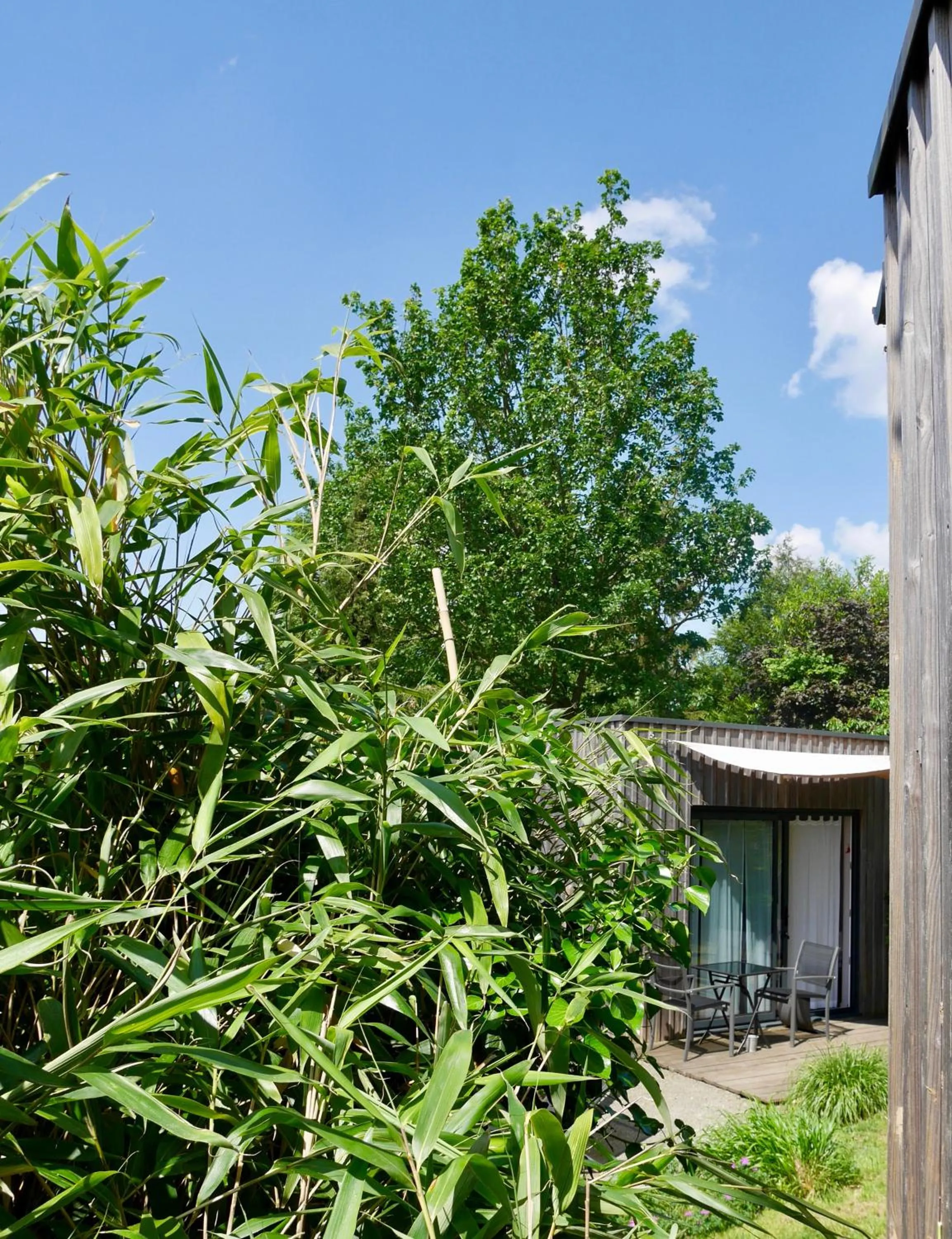 Photo of the whole room in Les Cabanes de Do