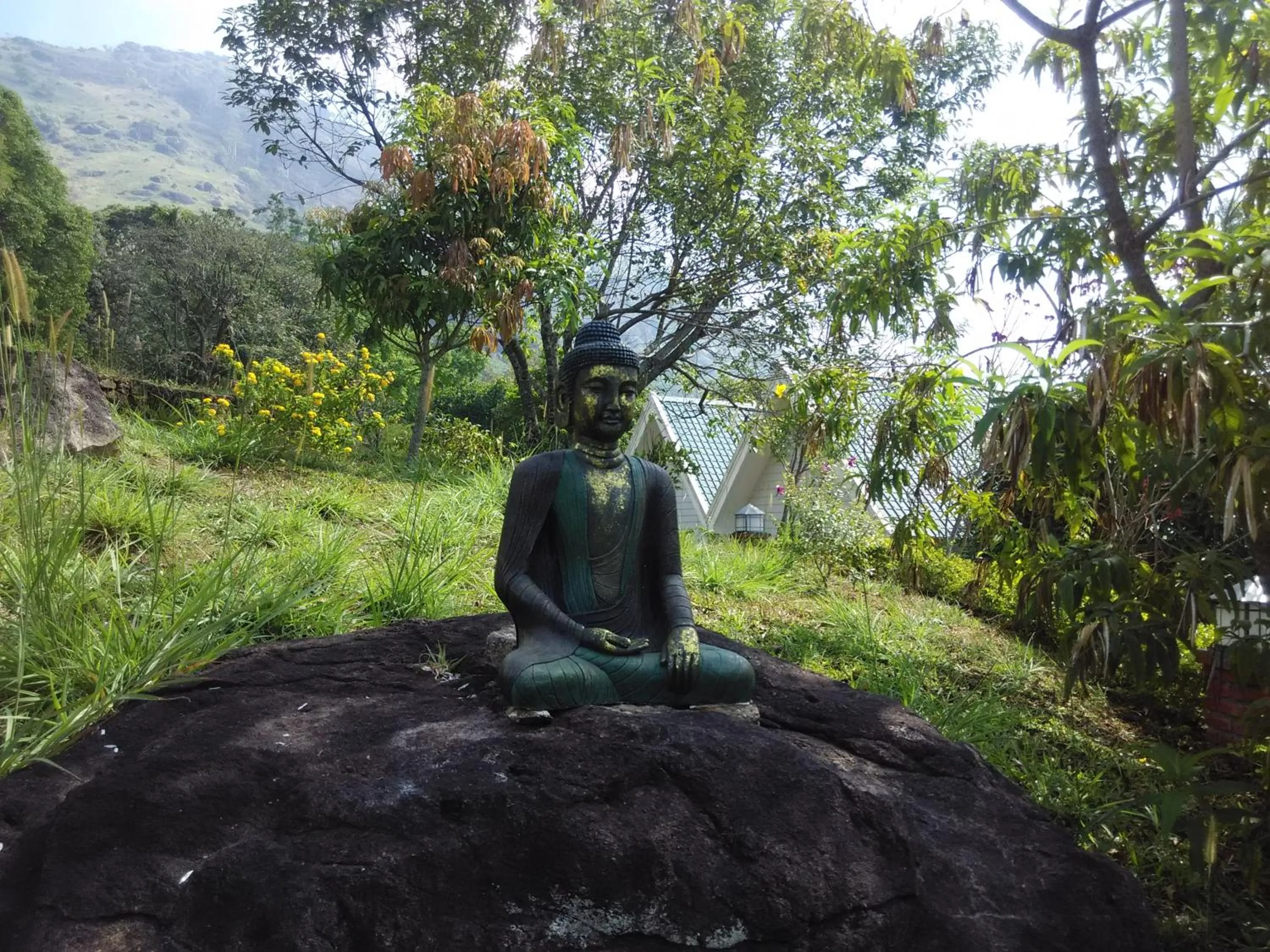 Area and facilities in Ambady Estate