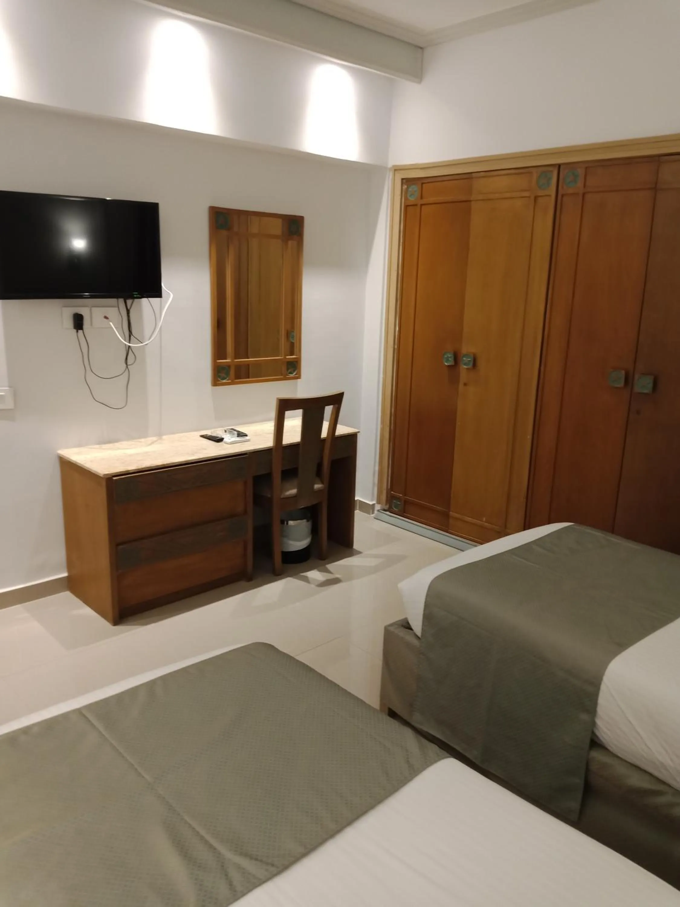 TV and multimedia in Green Leaves Hotel