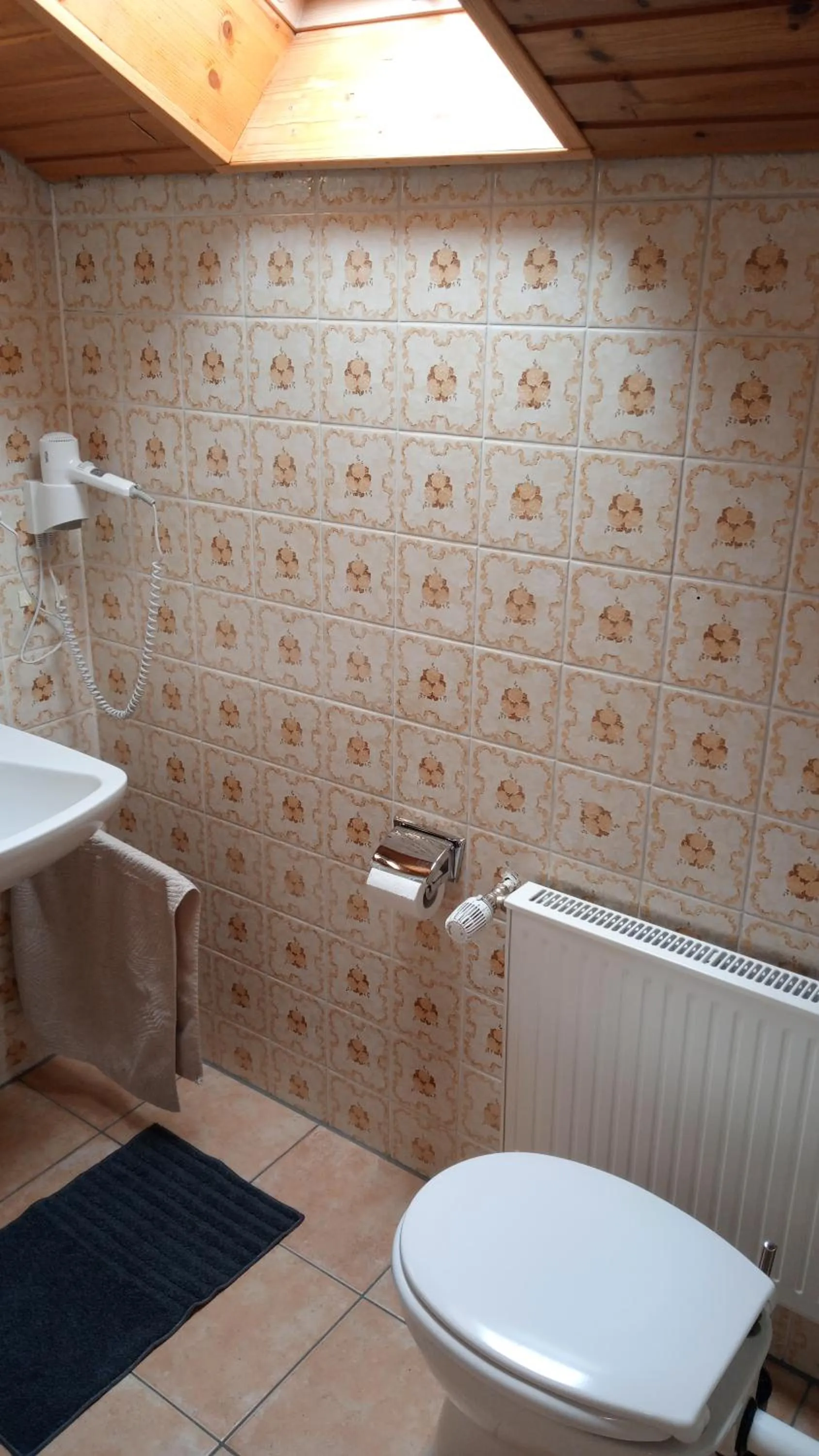 Toilet in Haus Lenzer