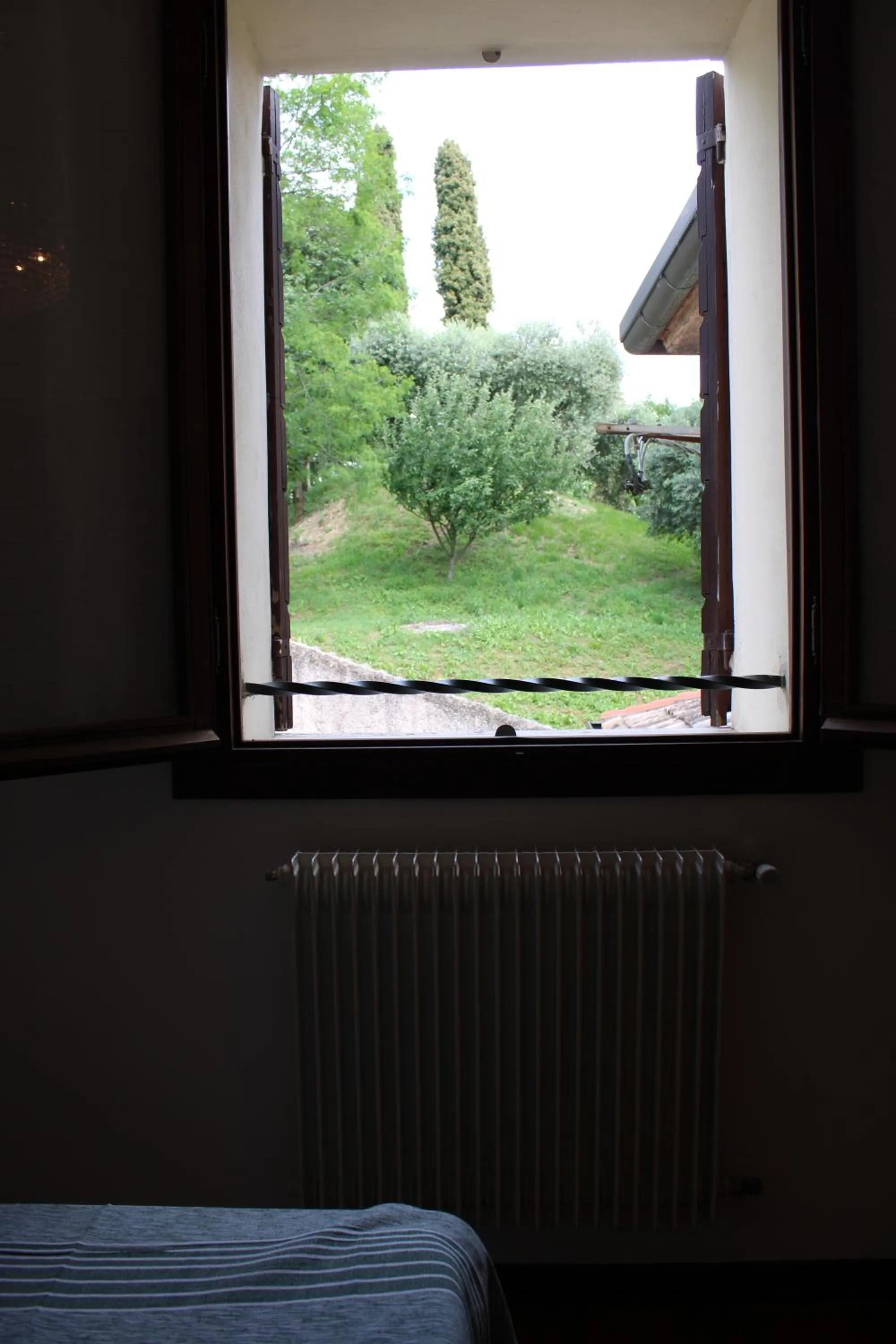 Garden view in Villa Flangini