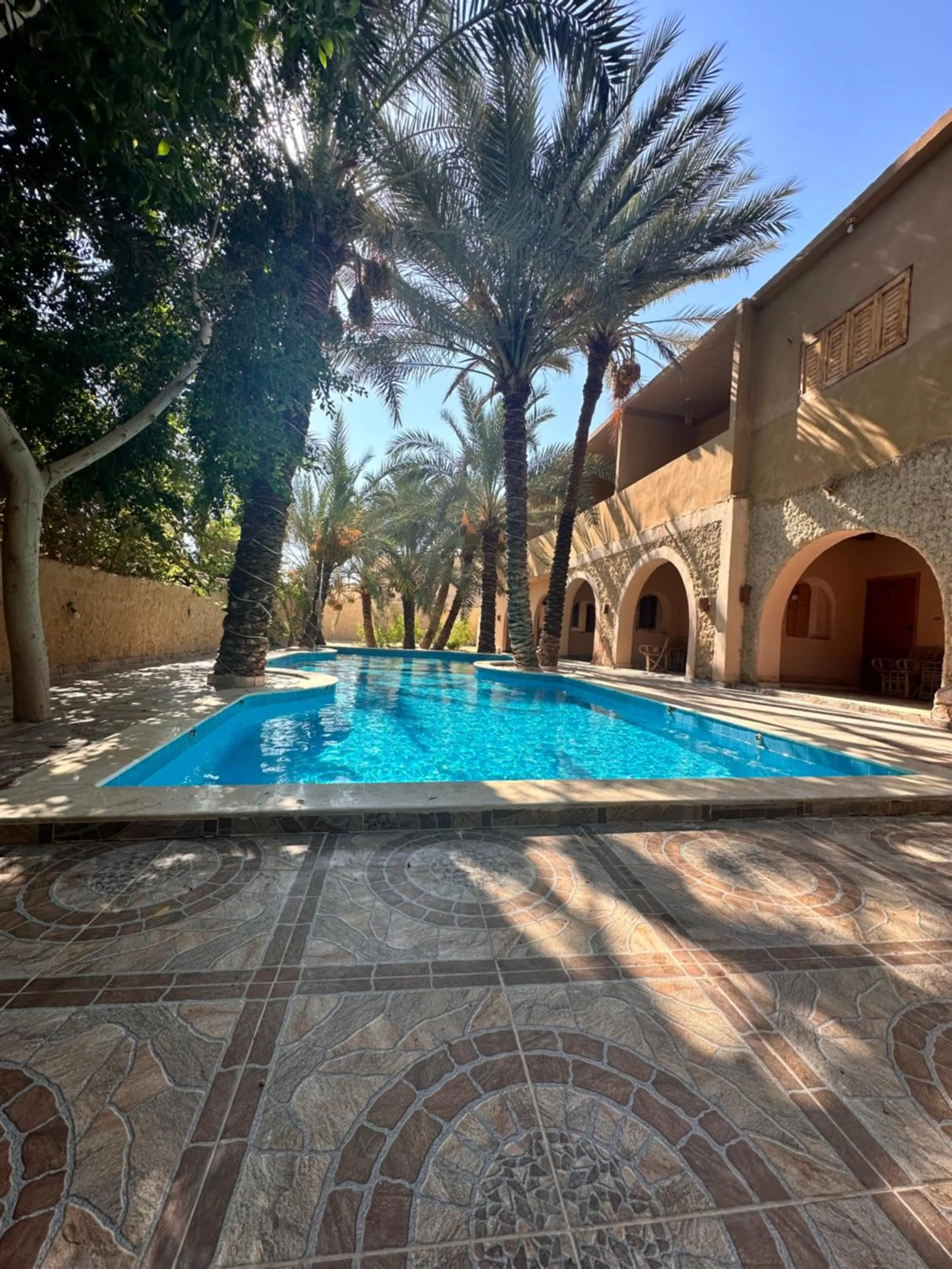 Swimming pool in Nour El Waha Hotel
