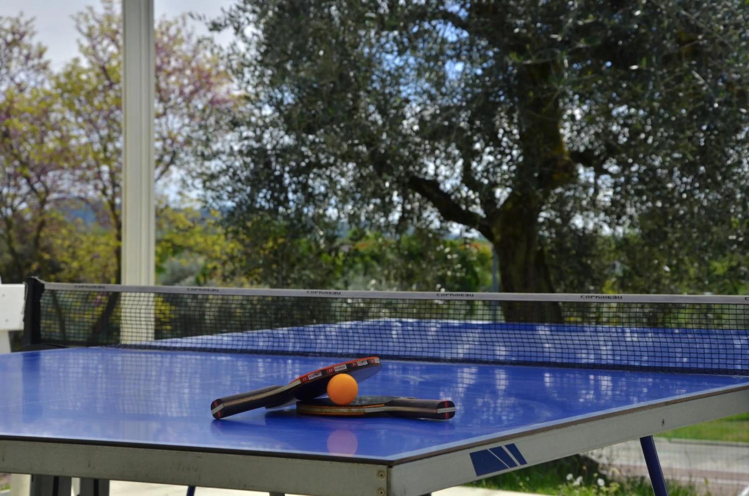 Table tennis in Residence San Michele