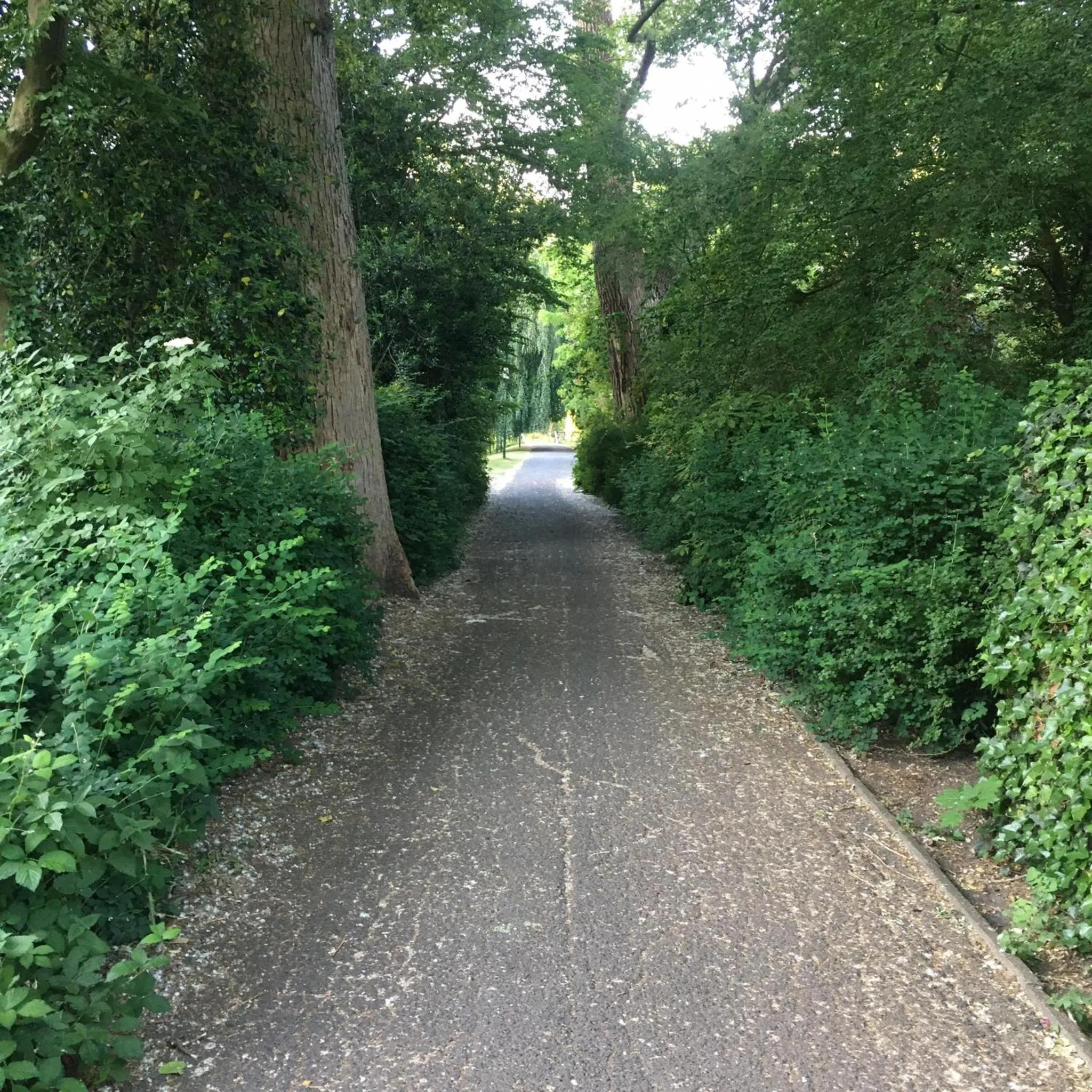 Natural landscape in Break@Bruges