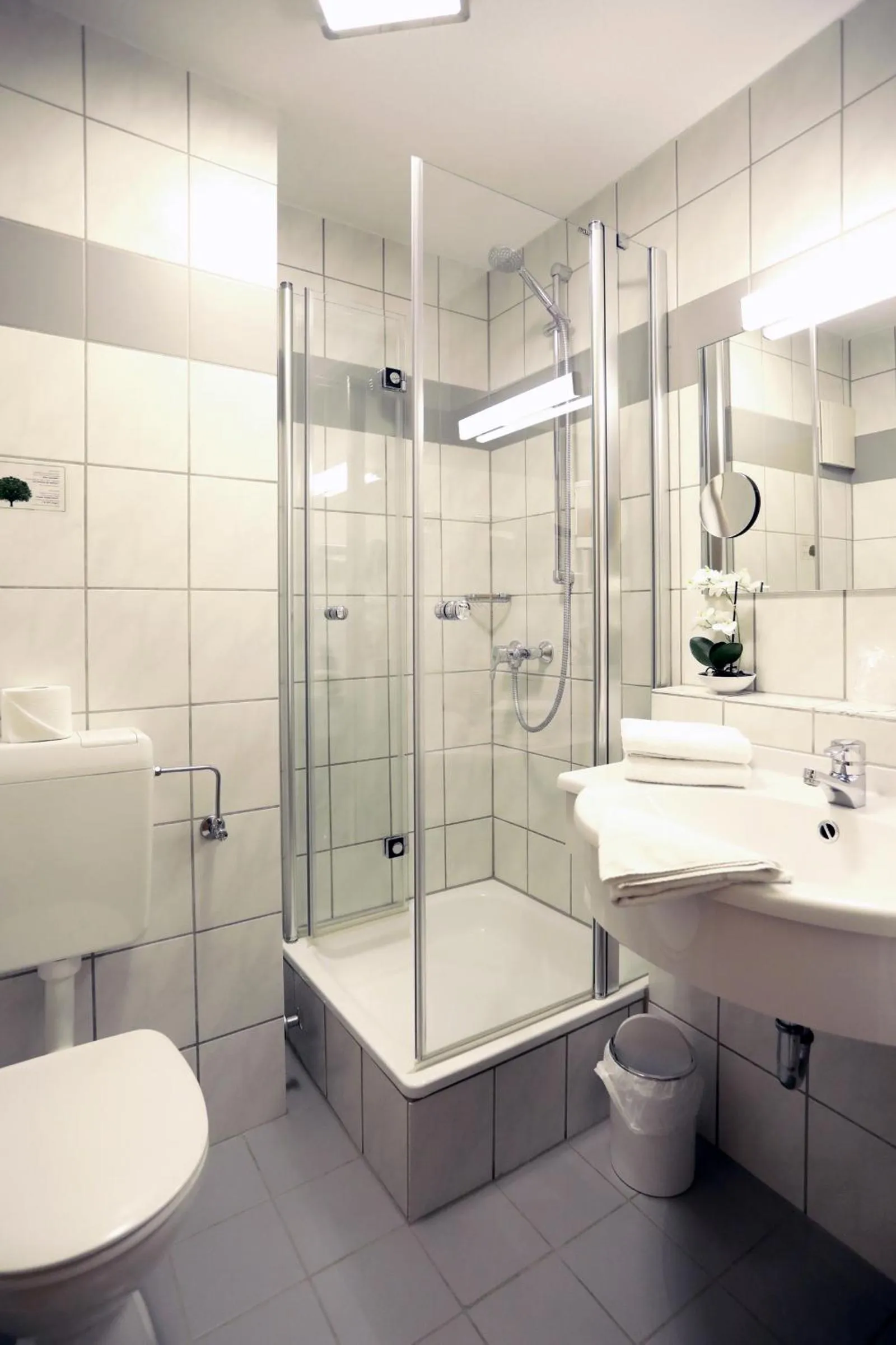 Shower in Mercure Hotel Pforzheim