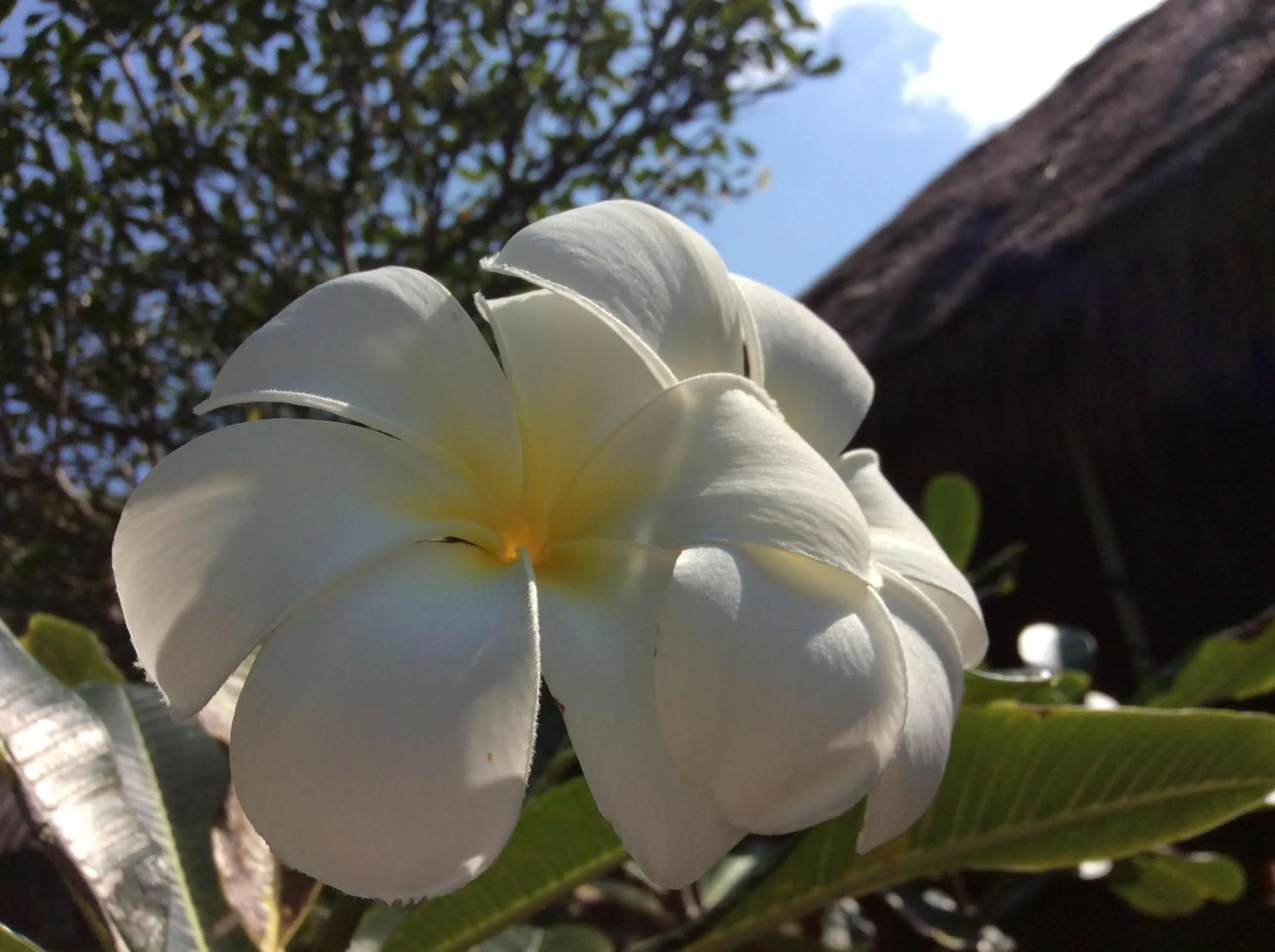 Property logo or sign in Bow Thong Beach Resort