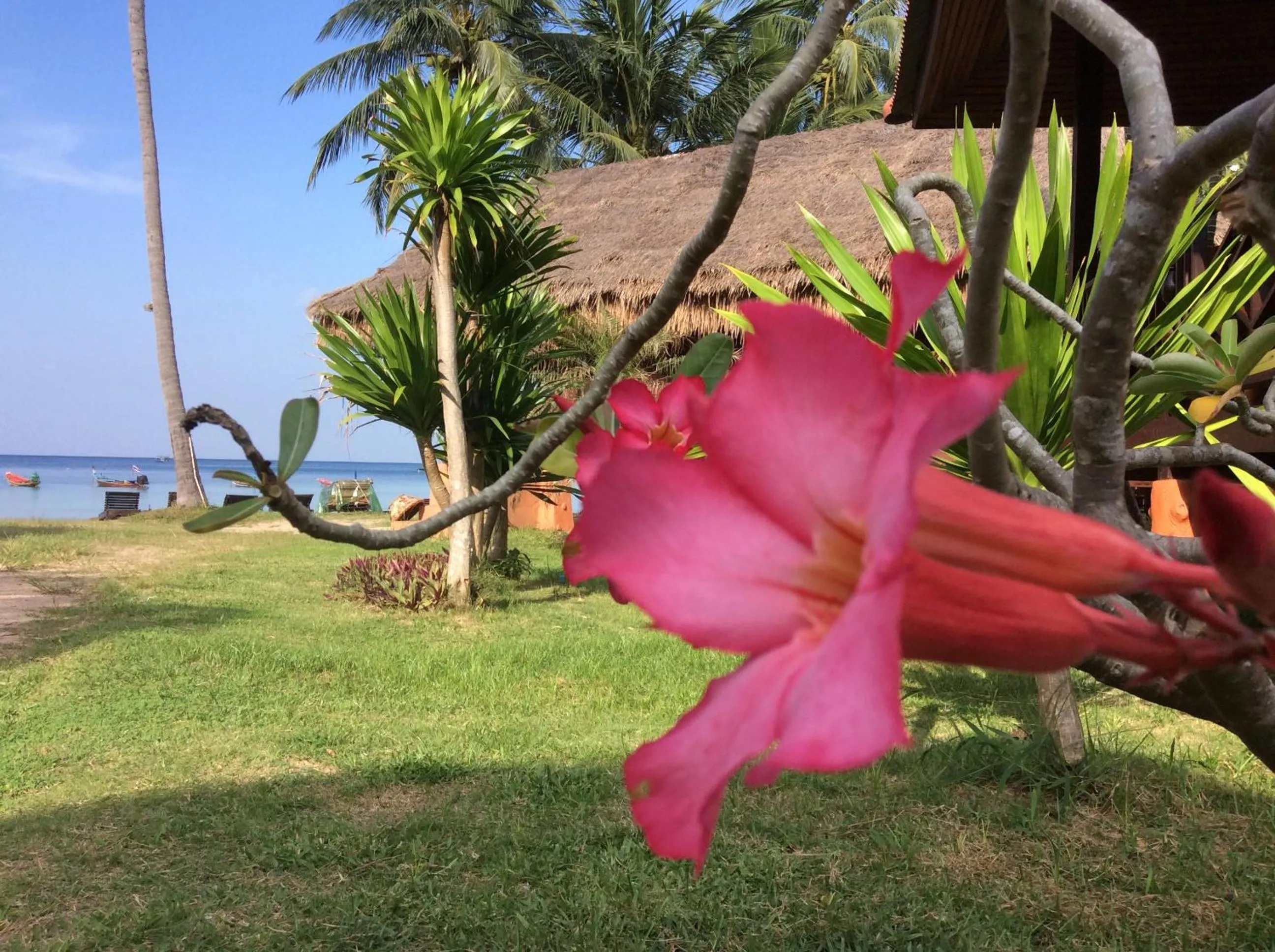 Property building in Bow Thong Beach Resort