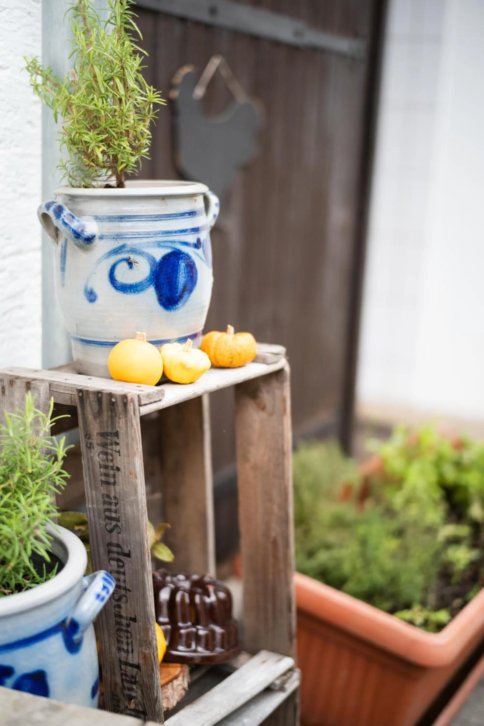 Hotel & Landgasthof Forsthof