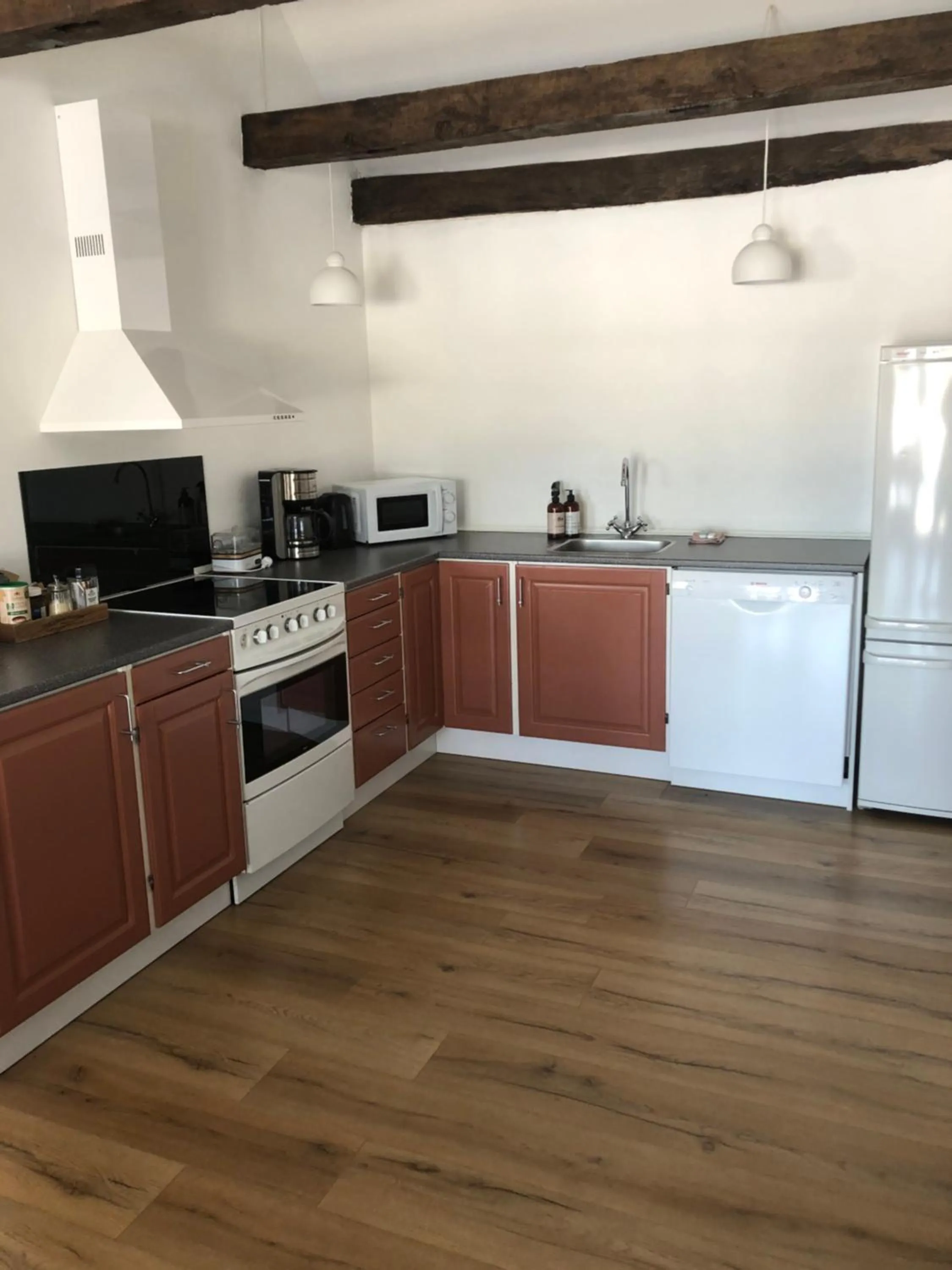 dishwasher in Baekgaarden 3 rooms Apartment - old farm house