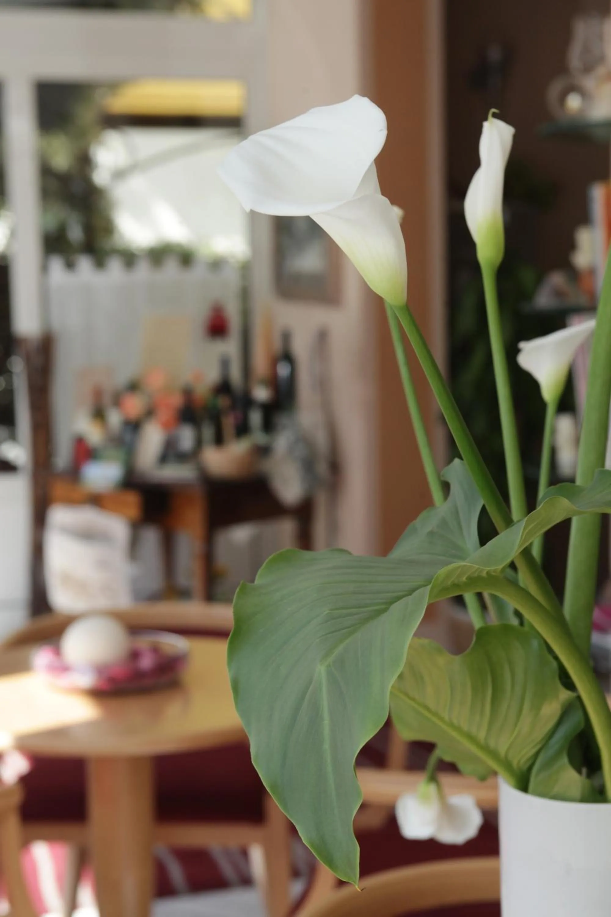 Communal lounge/ TV room in Hotel b&b Villa Irma