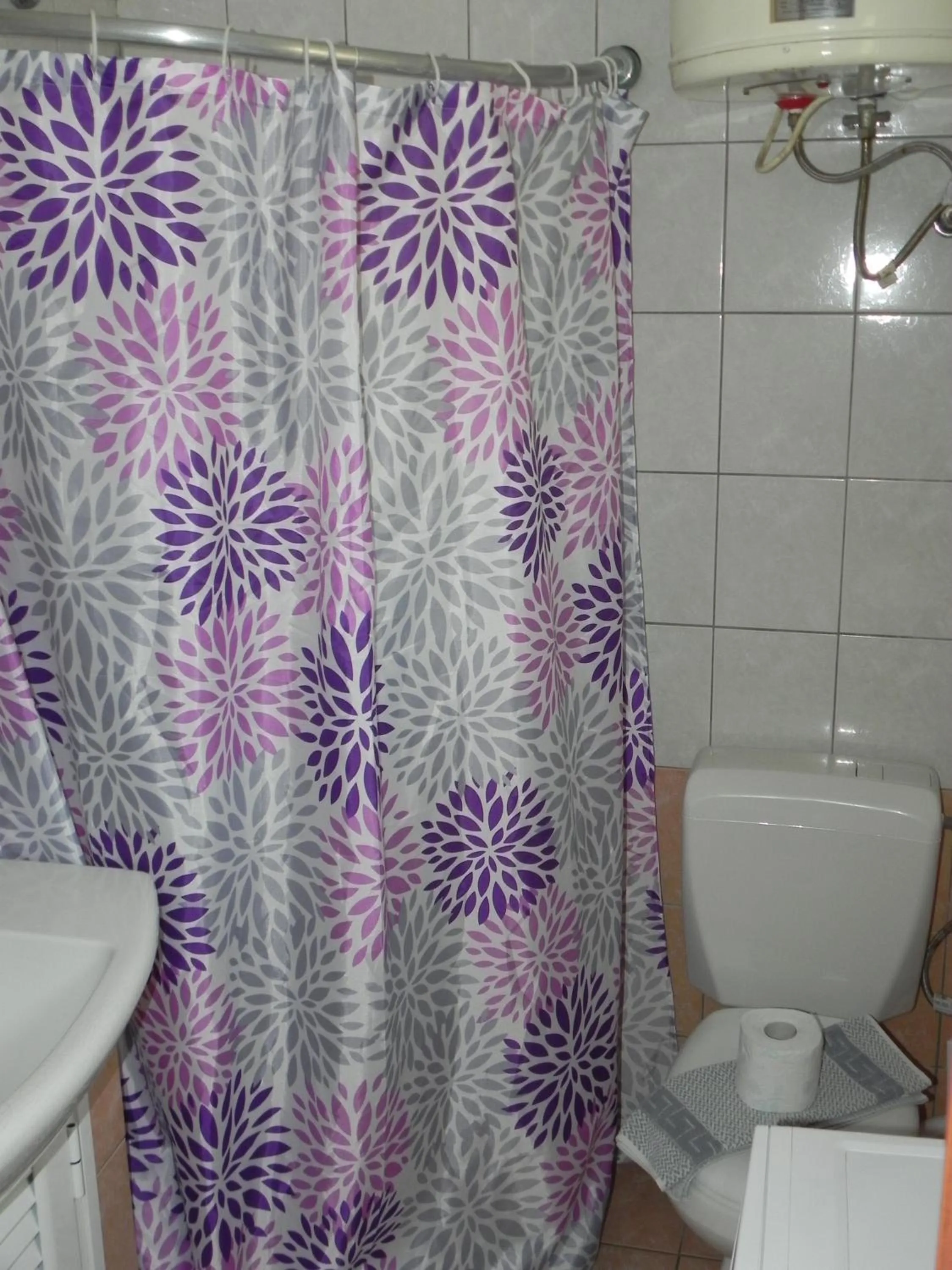 Shower in Pension Niki