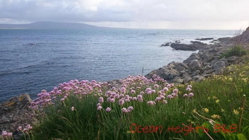 Natural landscape in Ocean Heights B&B