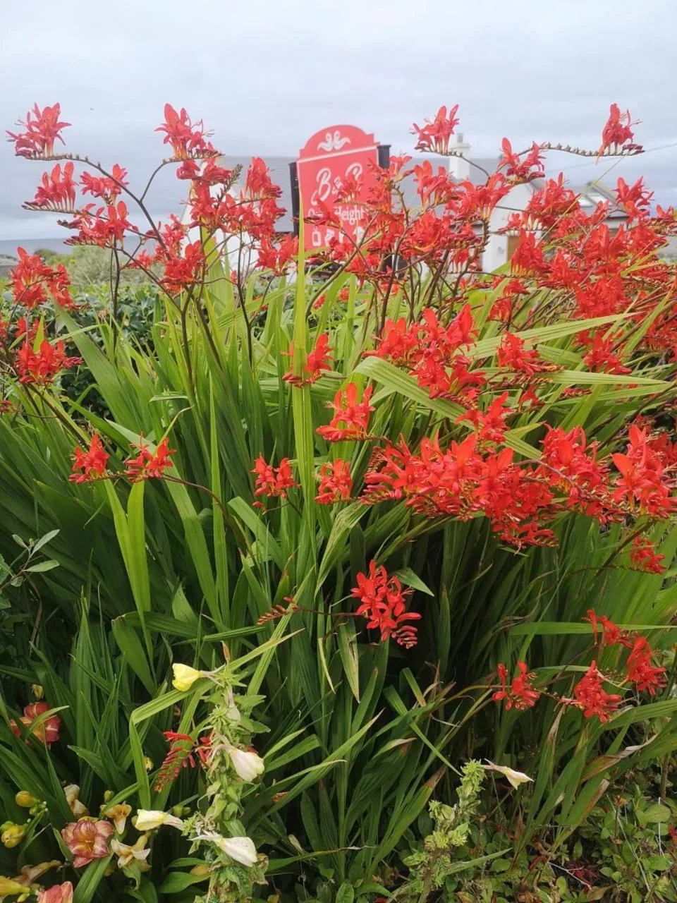 Garden in Ocean Heights B&B
