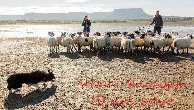 Nearby landmark in Ocean Heights B&B