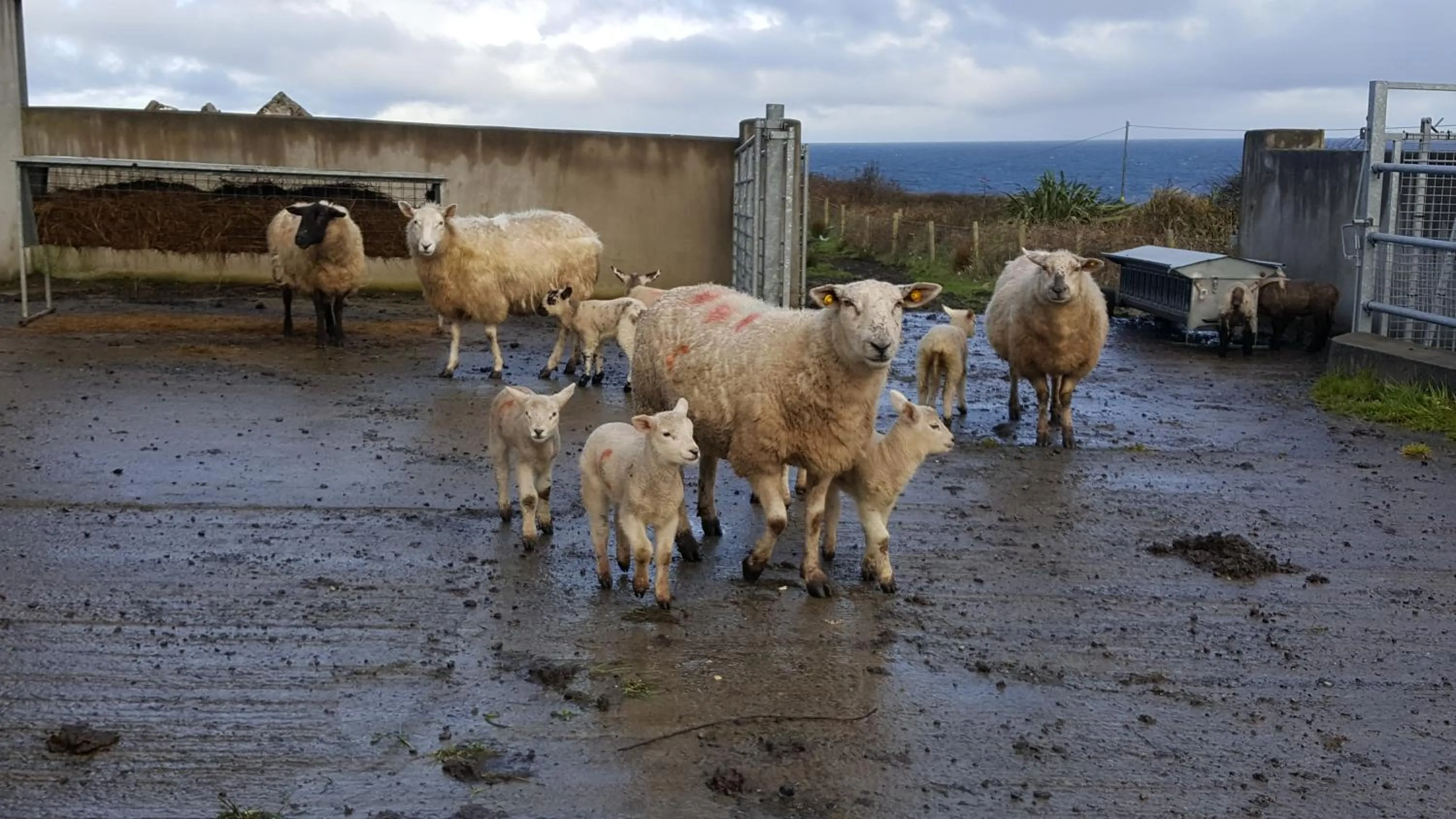 Off site in Ocean Heights B&B