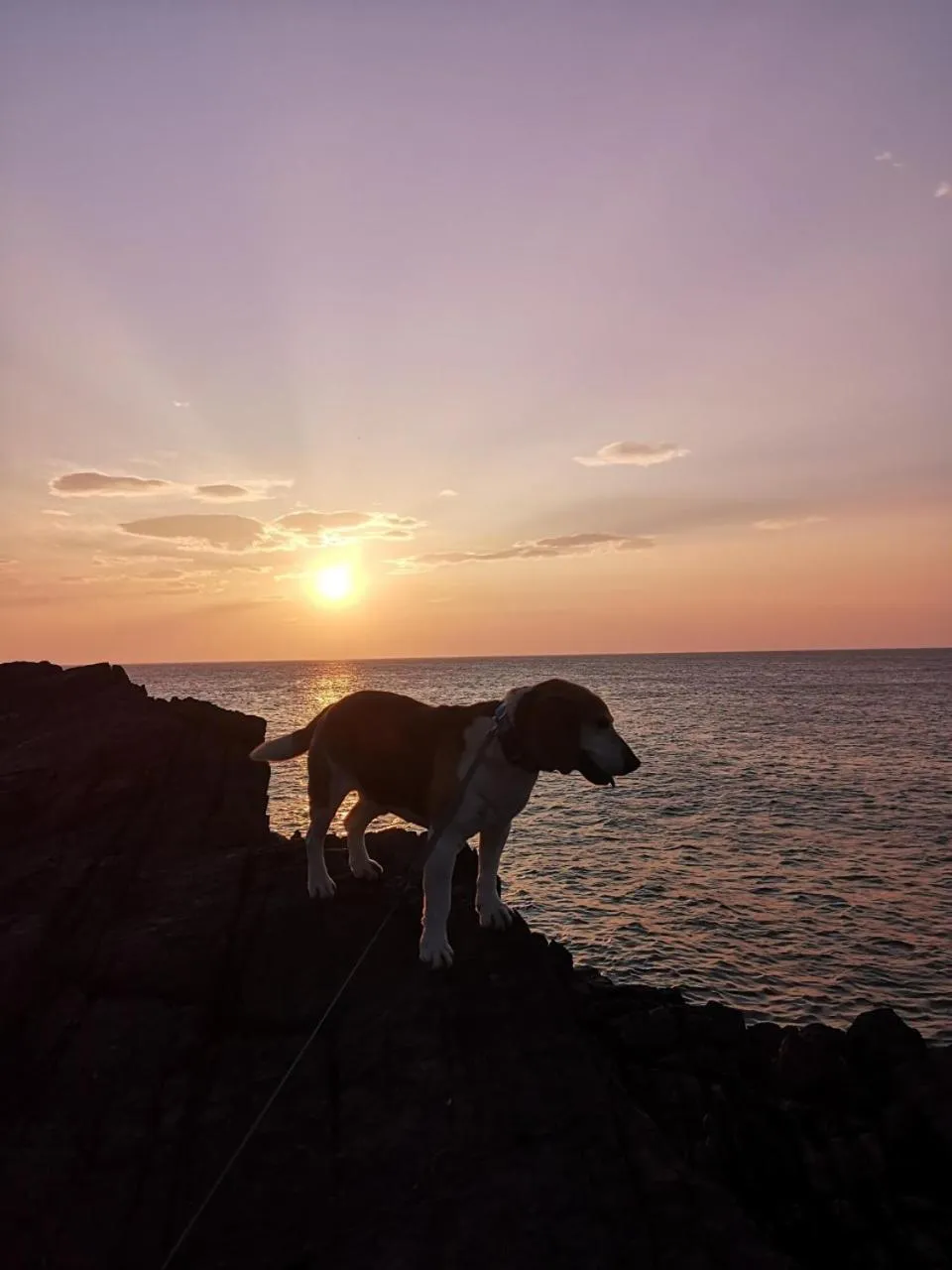 Beach in Ocean Heights B&B