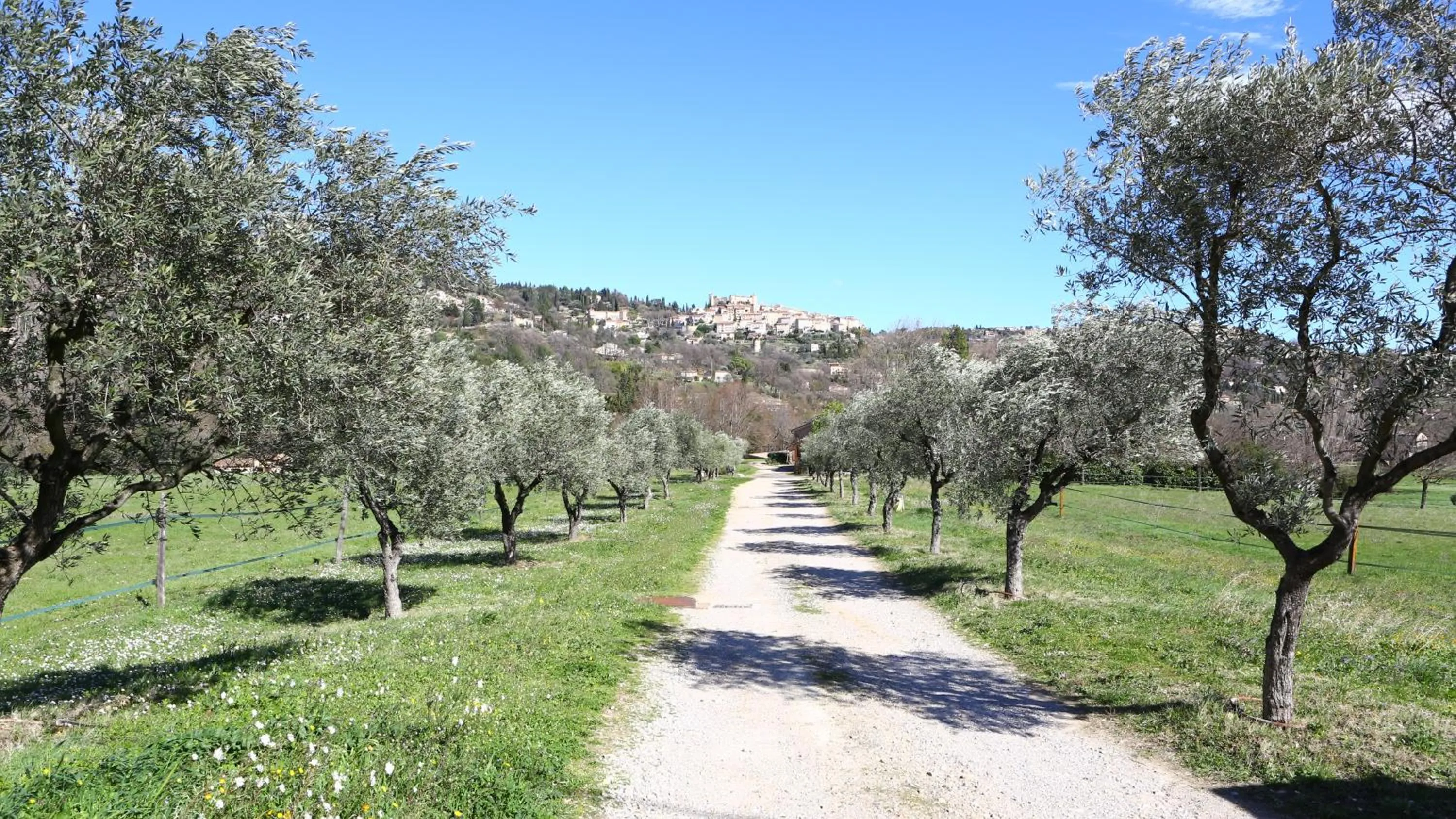 Property building in Domaine De Sainte Annette
