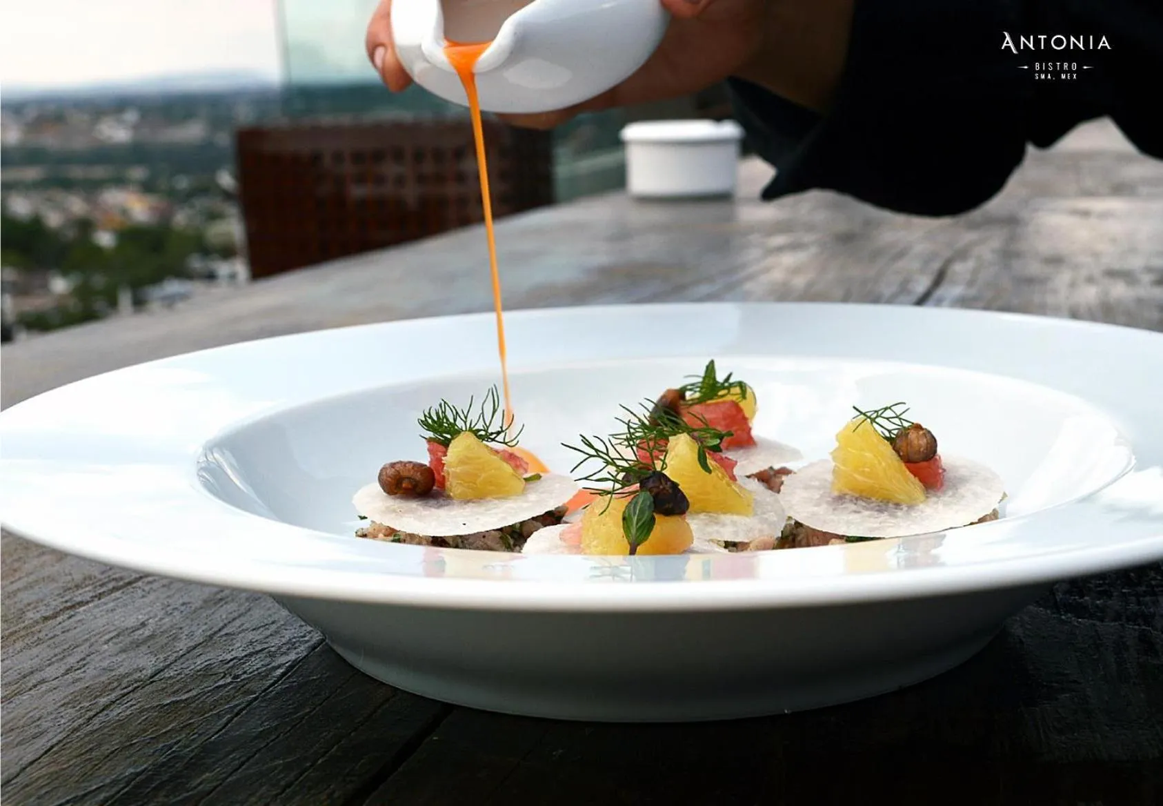 Restaurant/places to eat in Hotel Boutique El Palomar