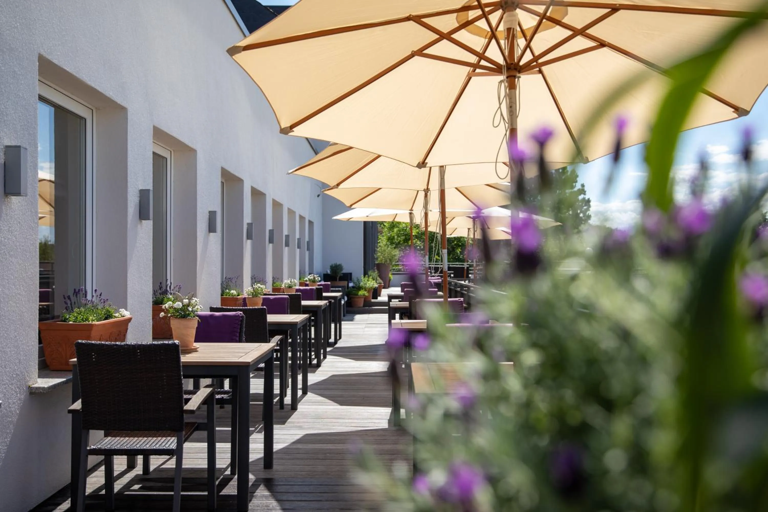 Balcony/Terrace in Hotel Vulcano Lindenhof
