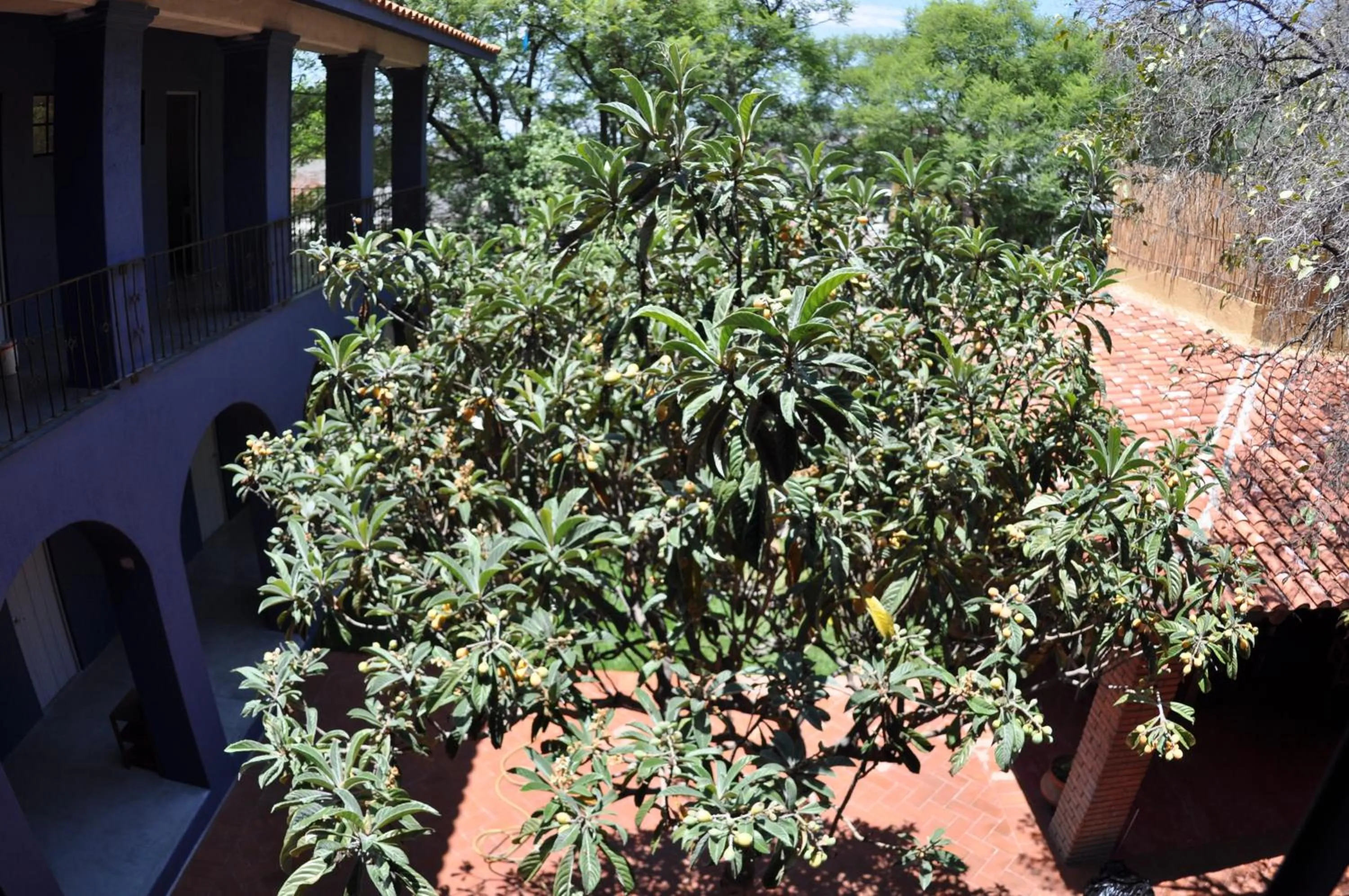 Kitchen or kitchenette in La Betulia Bed and Breakfast