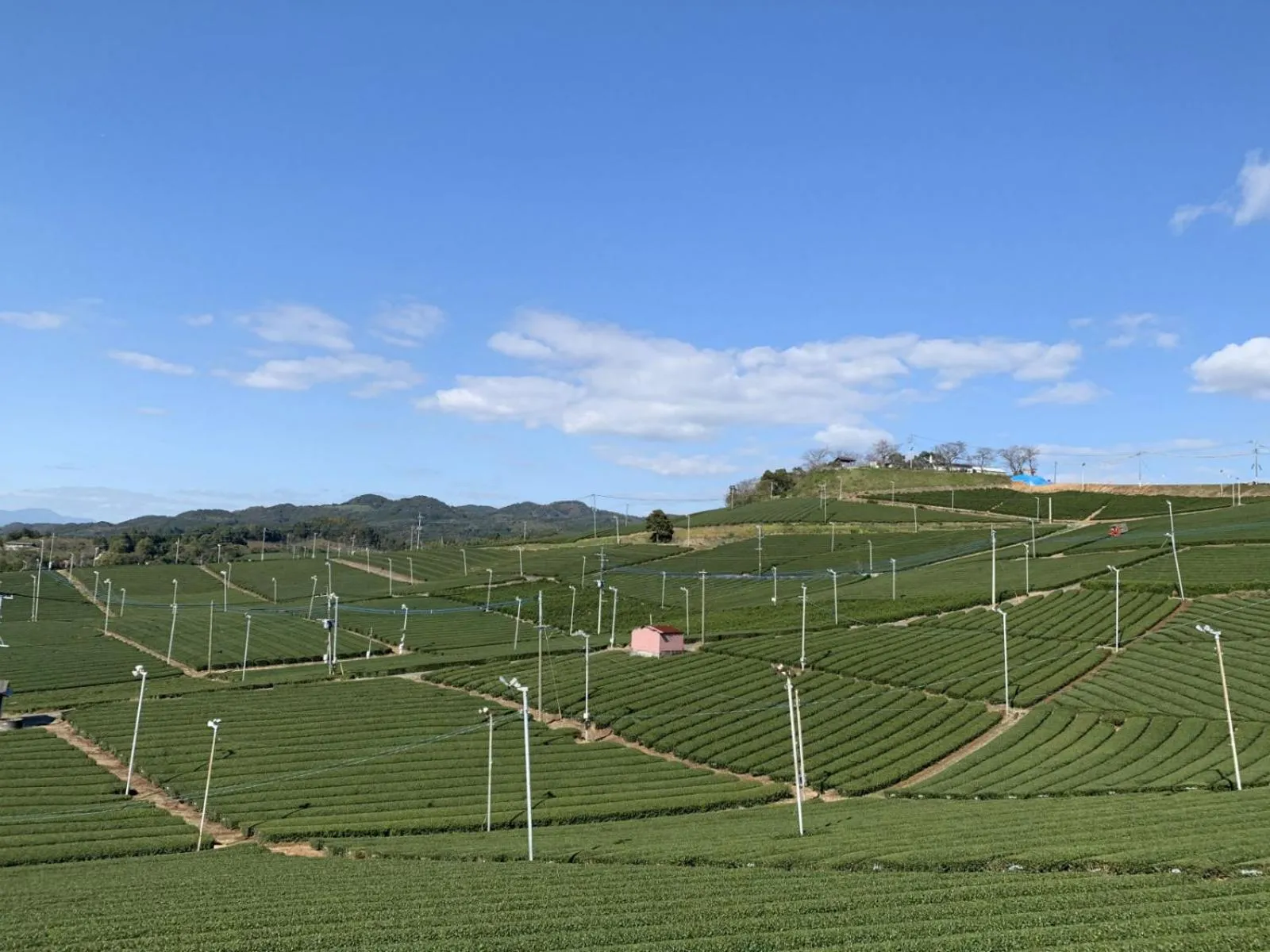 Natural landscape in NIPPONIA HOTEL Yamefukushima Merchant Town