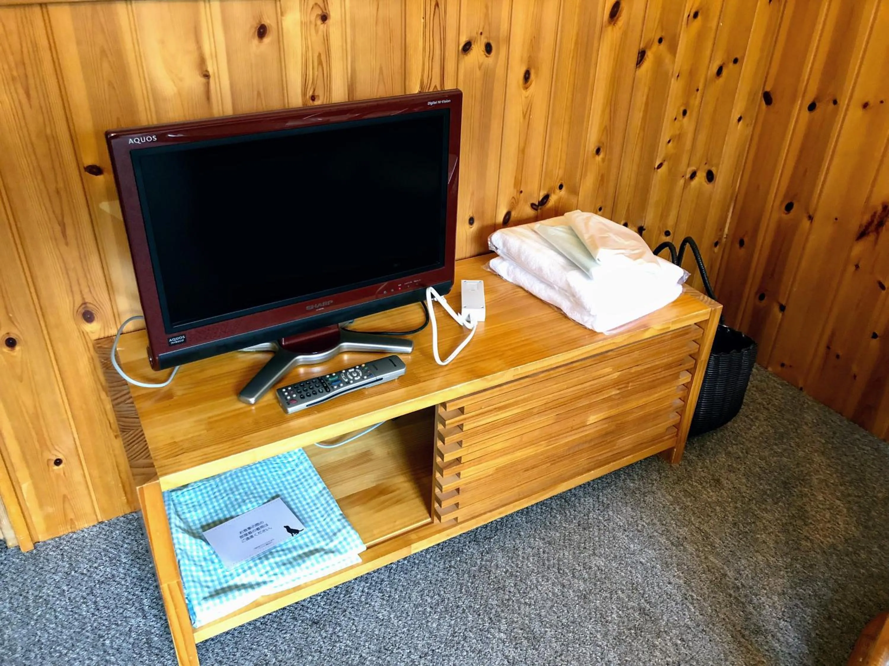 TV and multimedia in Pension Asanebou