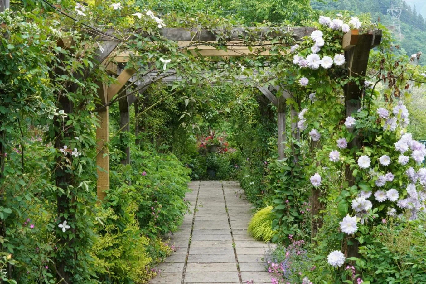 Garden in Pension Asanebou
