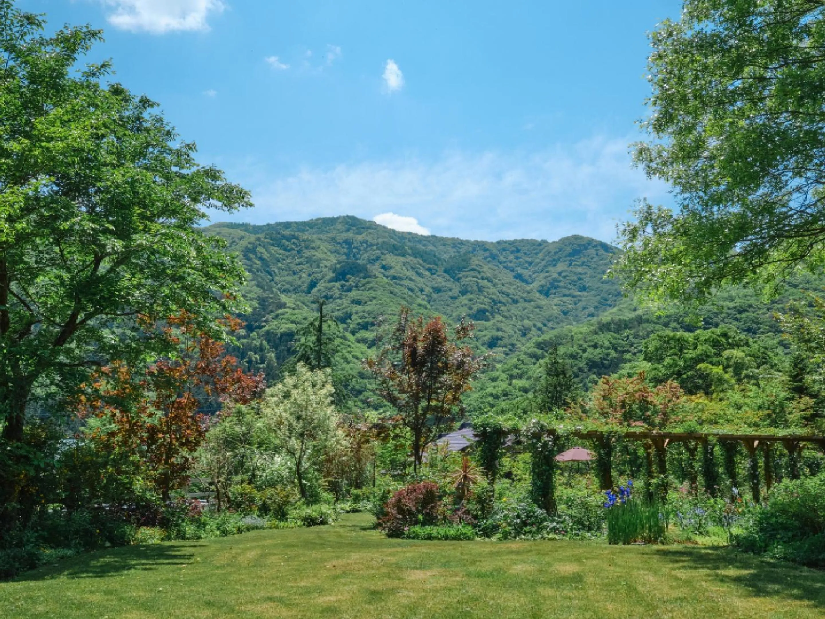 Garden view in Pension Asanebou