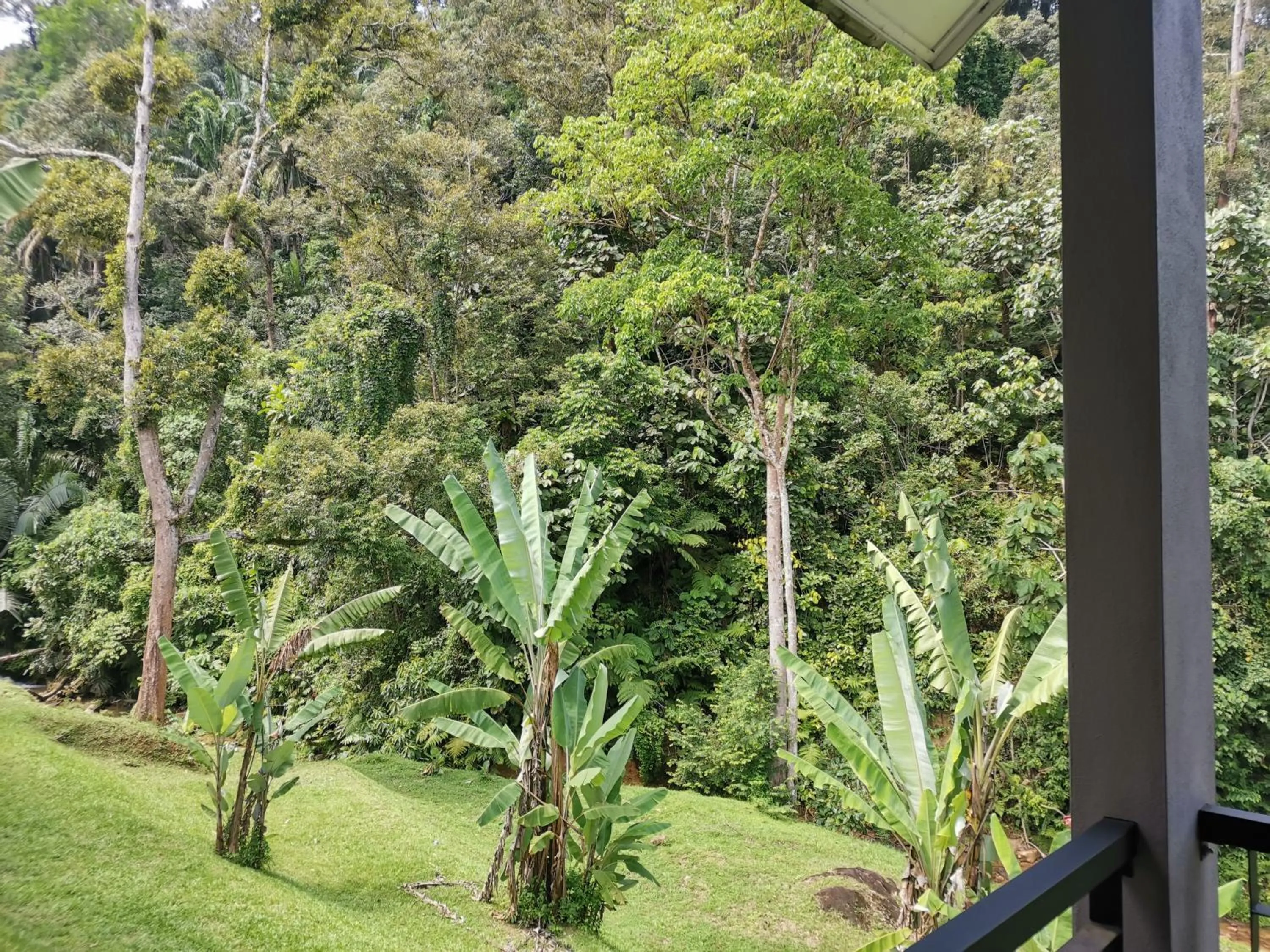 Natural landscape in Sementra Hot Spring Nature Resort
