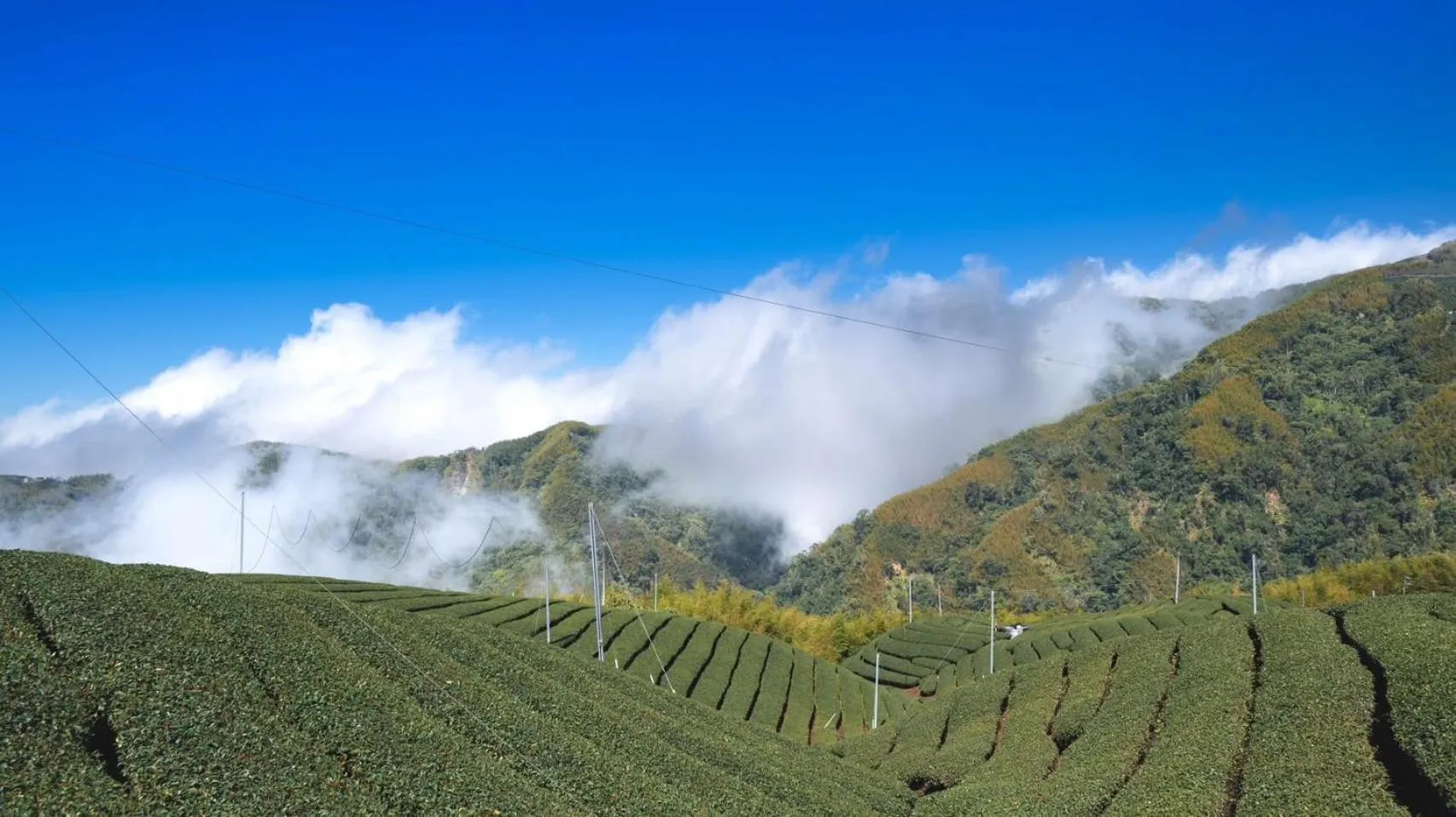 Nearby landmark in Ginkgo Hotel