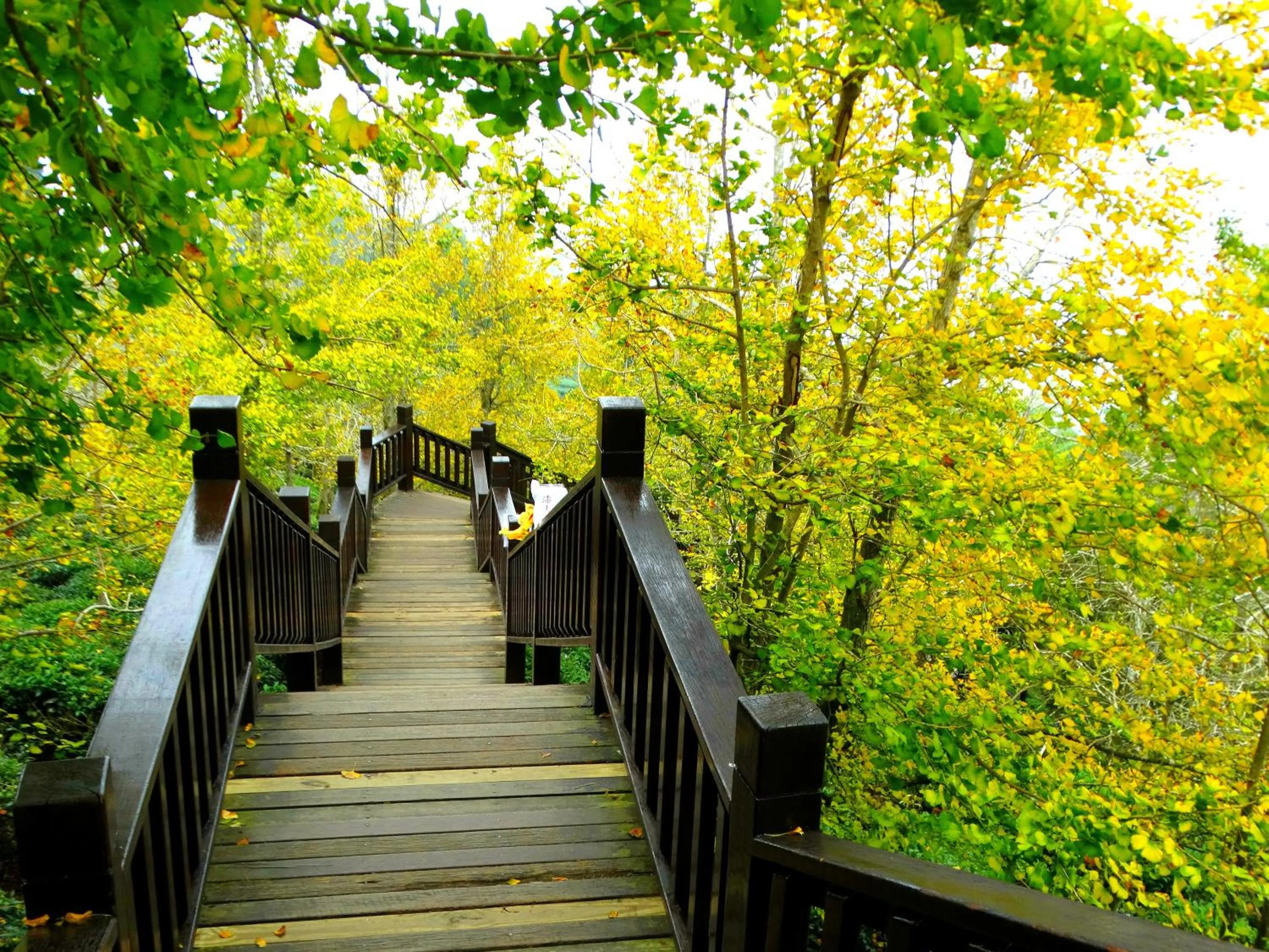 Nearby landmark in Ginkgo Hotel