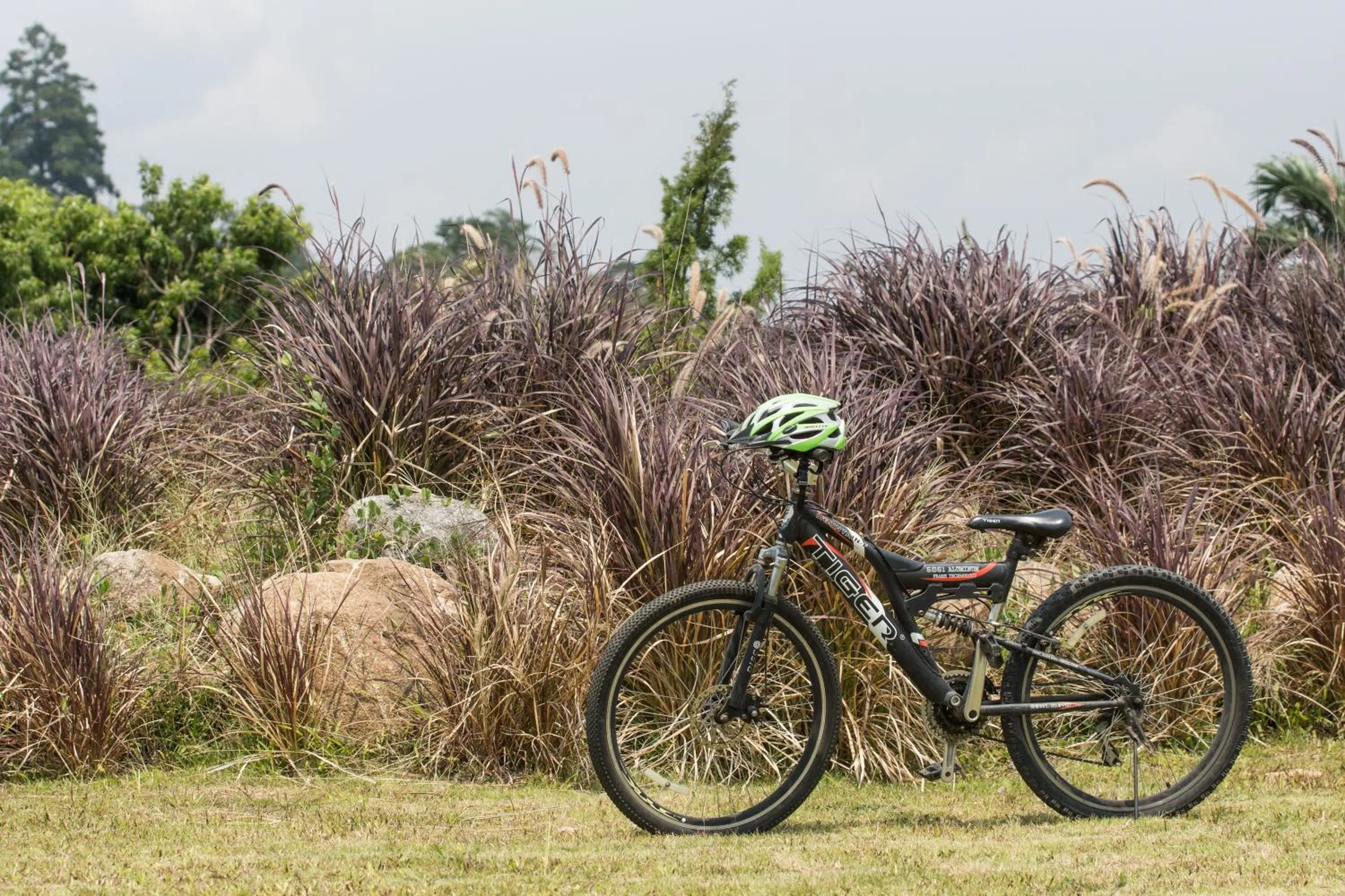 Day in The Natural Garden Resort