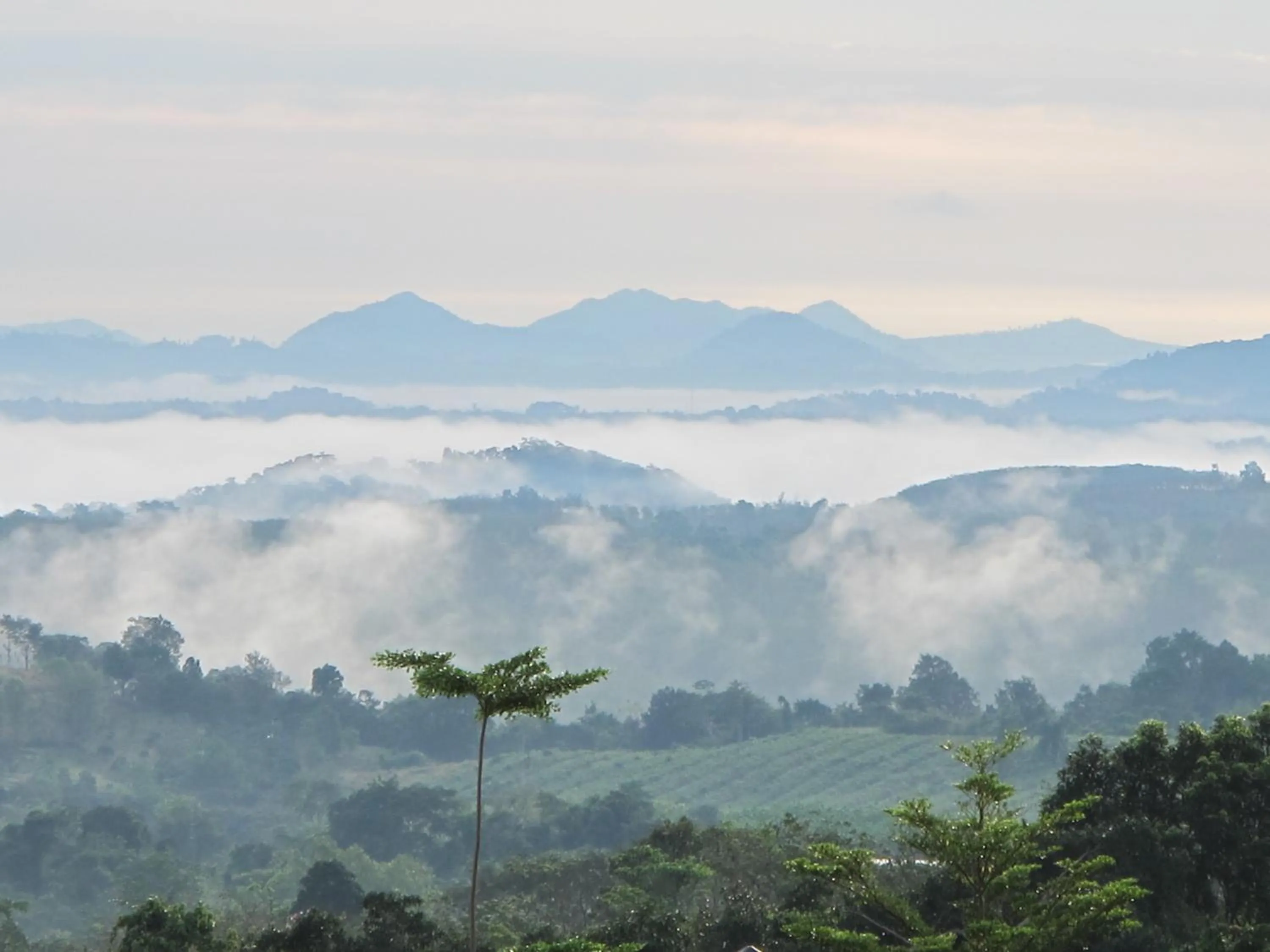 Natural landscape in The Natural Garden Resort