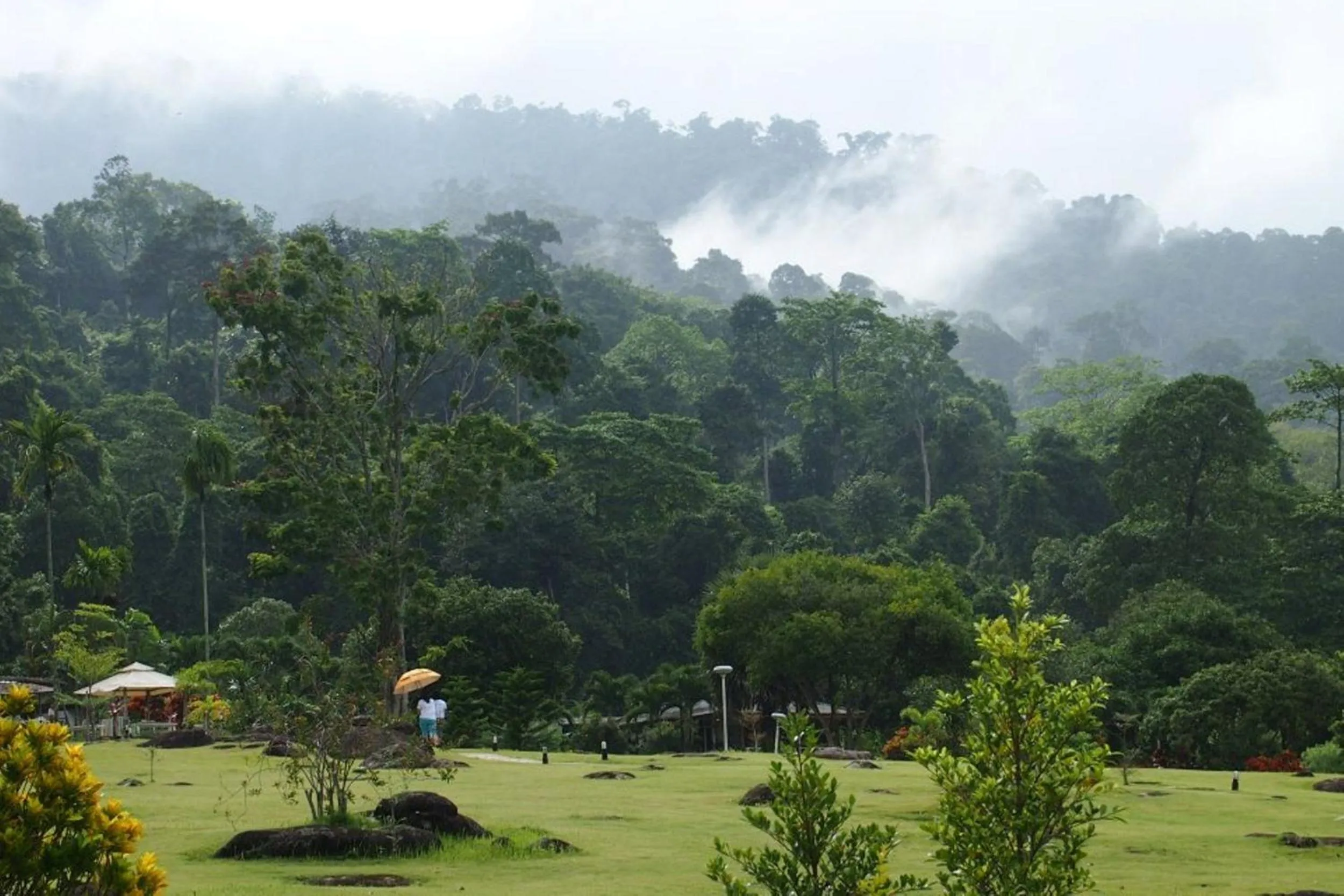 Mountain view in The Natural Garden Resort