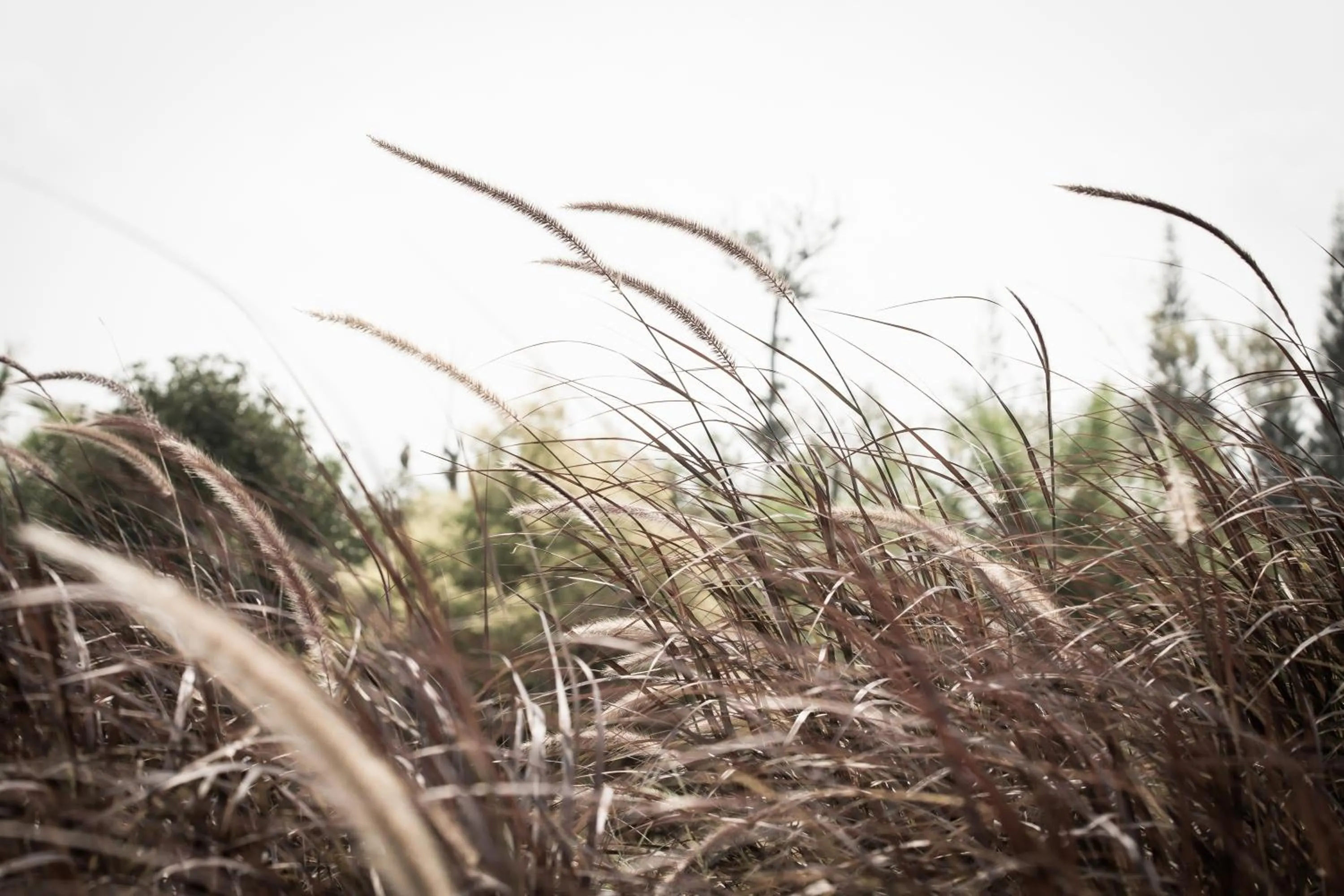 Natural landscape in The Natural Garden Resort