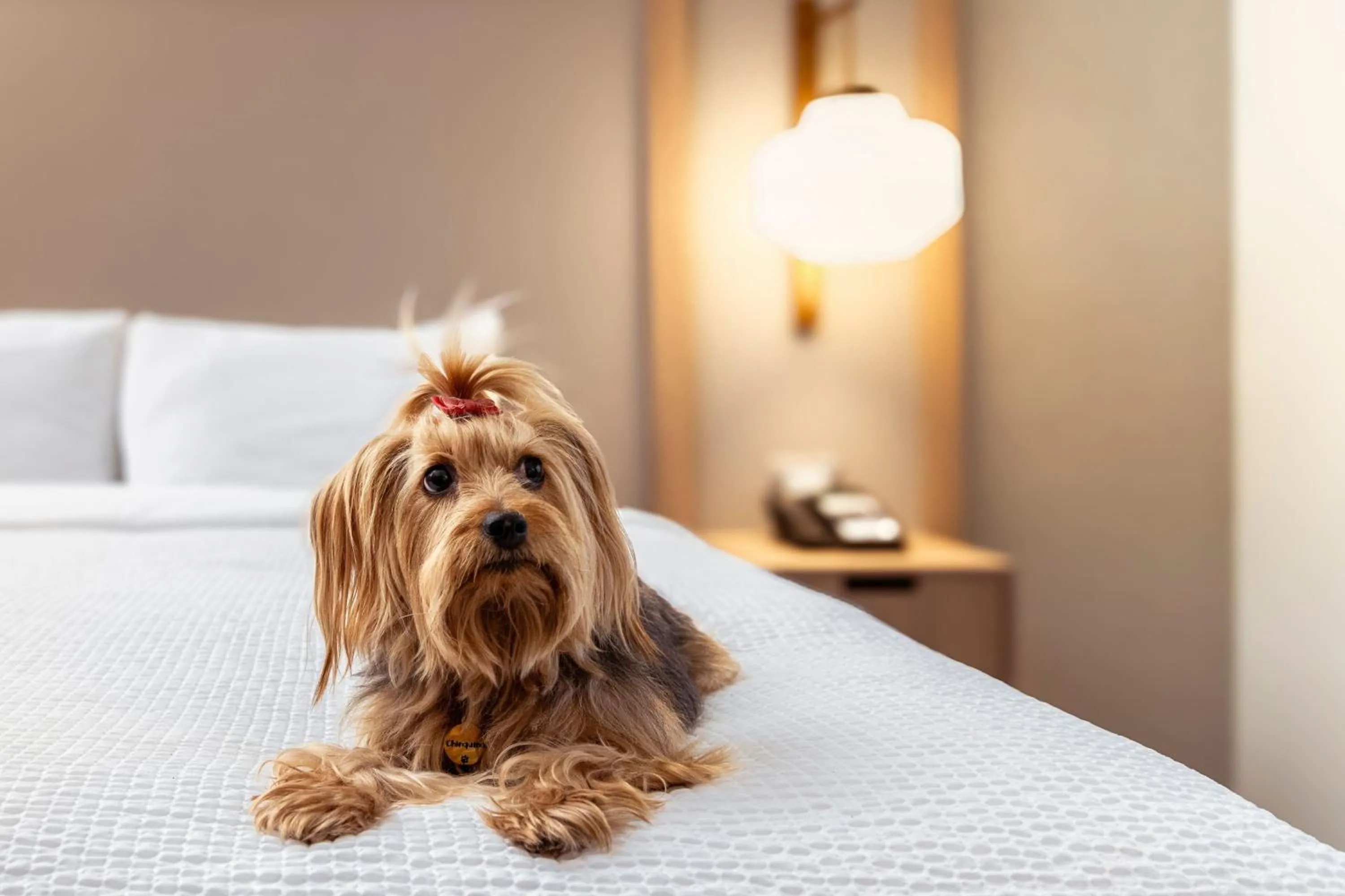 Other, Bed in Fairfield by Marriott Lima Miraflores