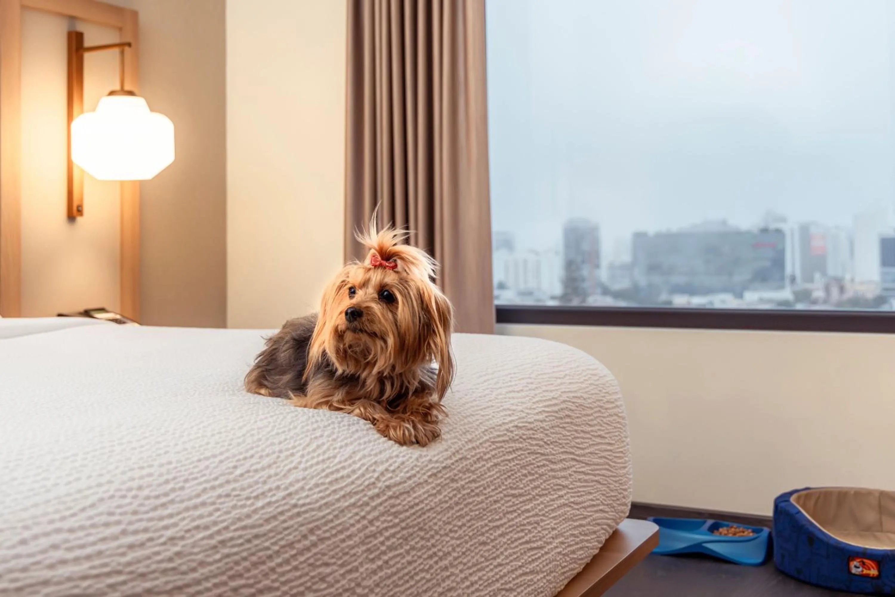 Other, Bed in Fairfield by Marriott Lima Miraflores