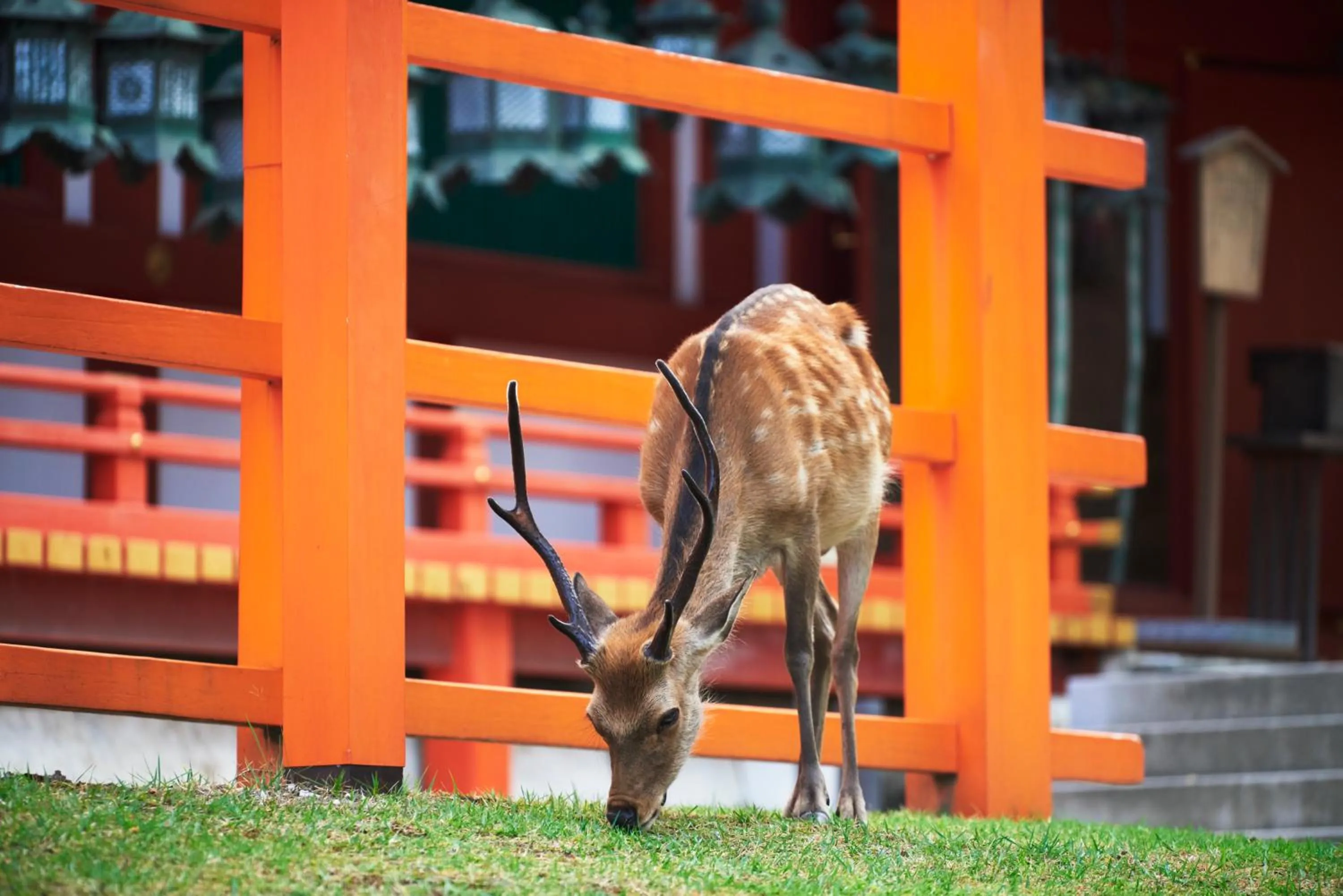 Off site in JW Marriott Hotel Nara